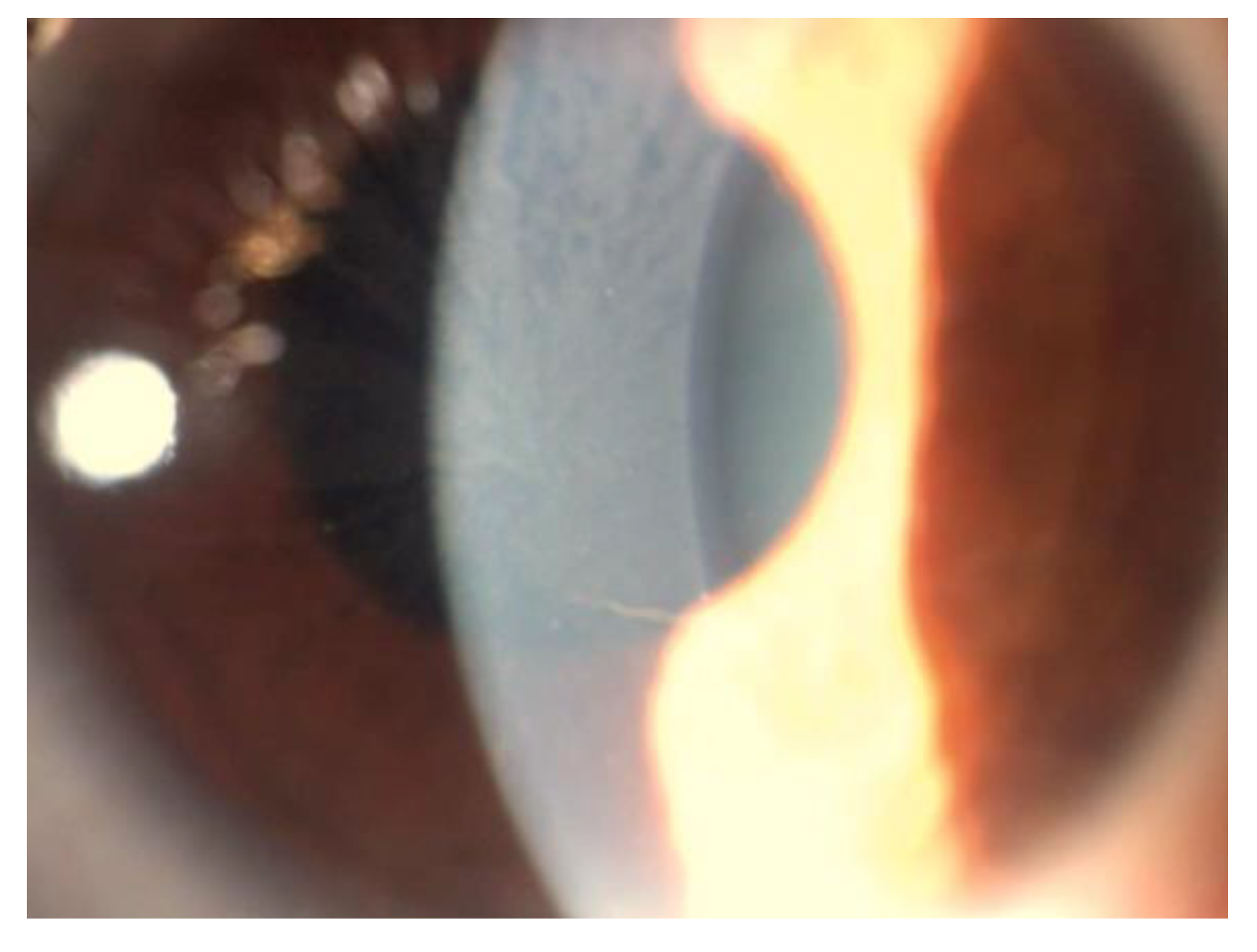 Jpm 13 00904 g001 Jpm 13 00904 g001