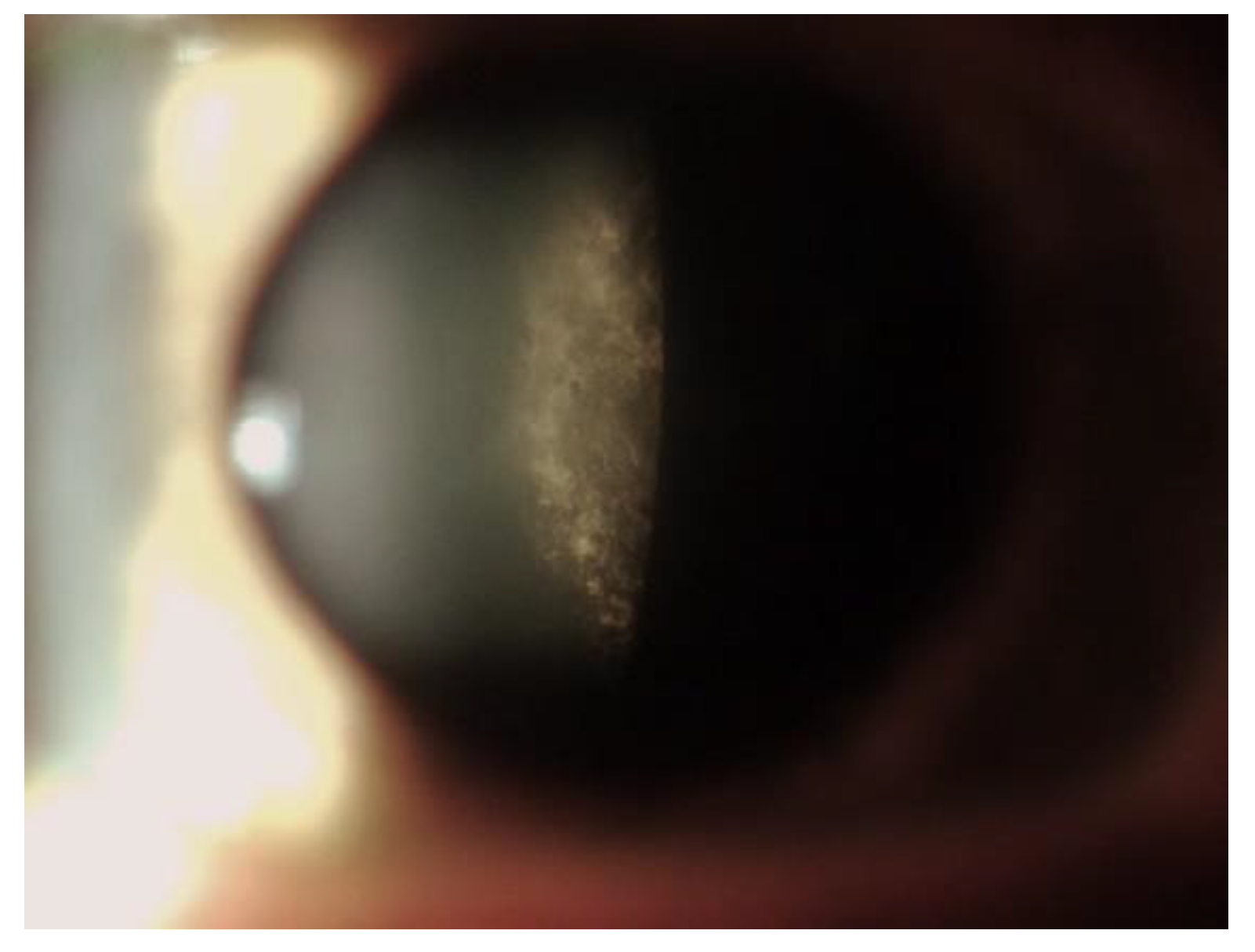 Jpm 13 00904 g002 Jpm 13 00904 g002