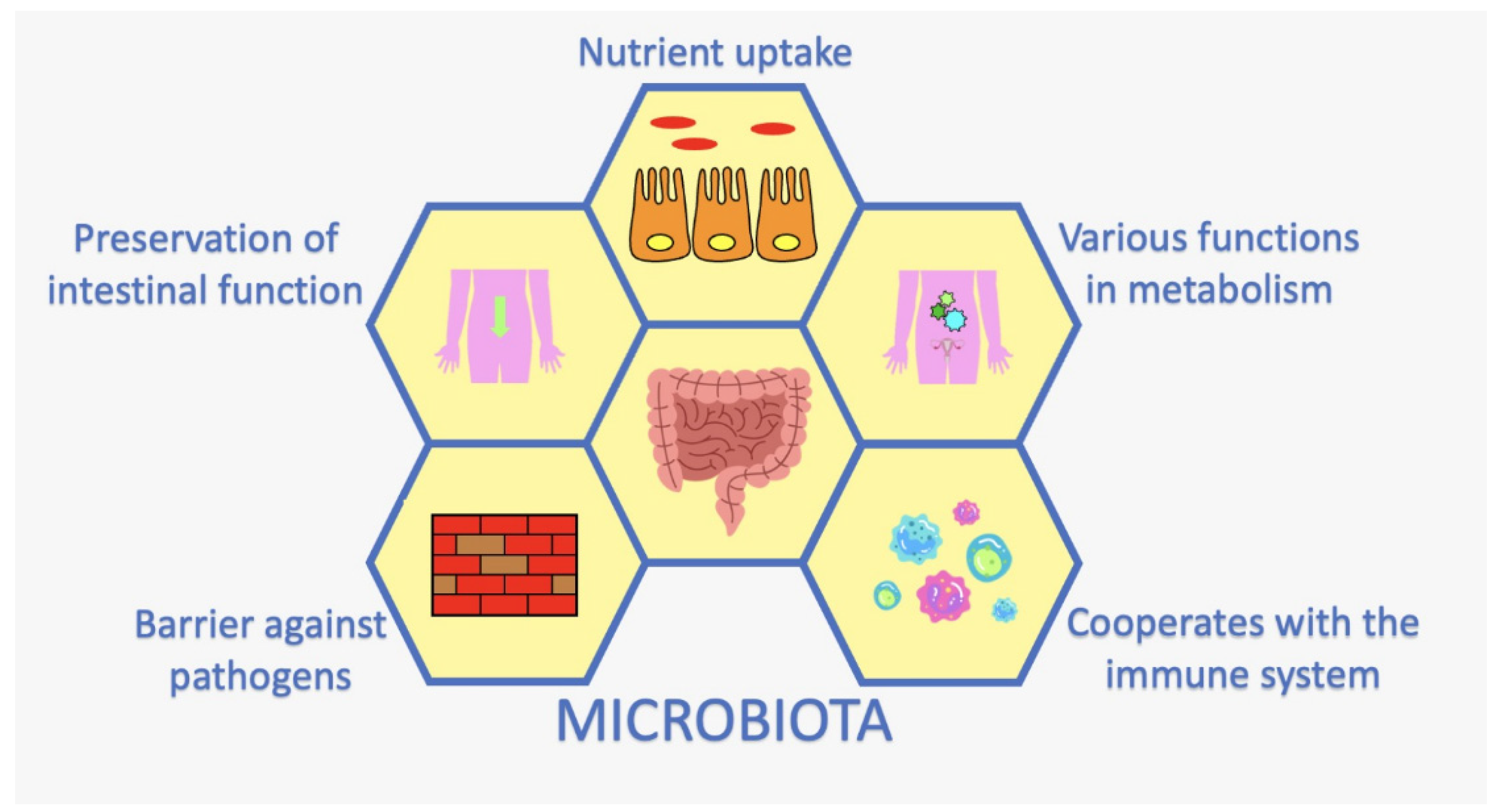 Jpm 13 00933 g002 Jpm 13 00933 g002