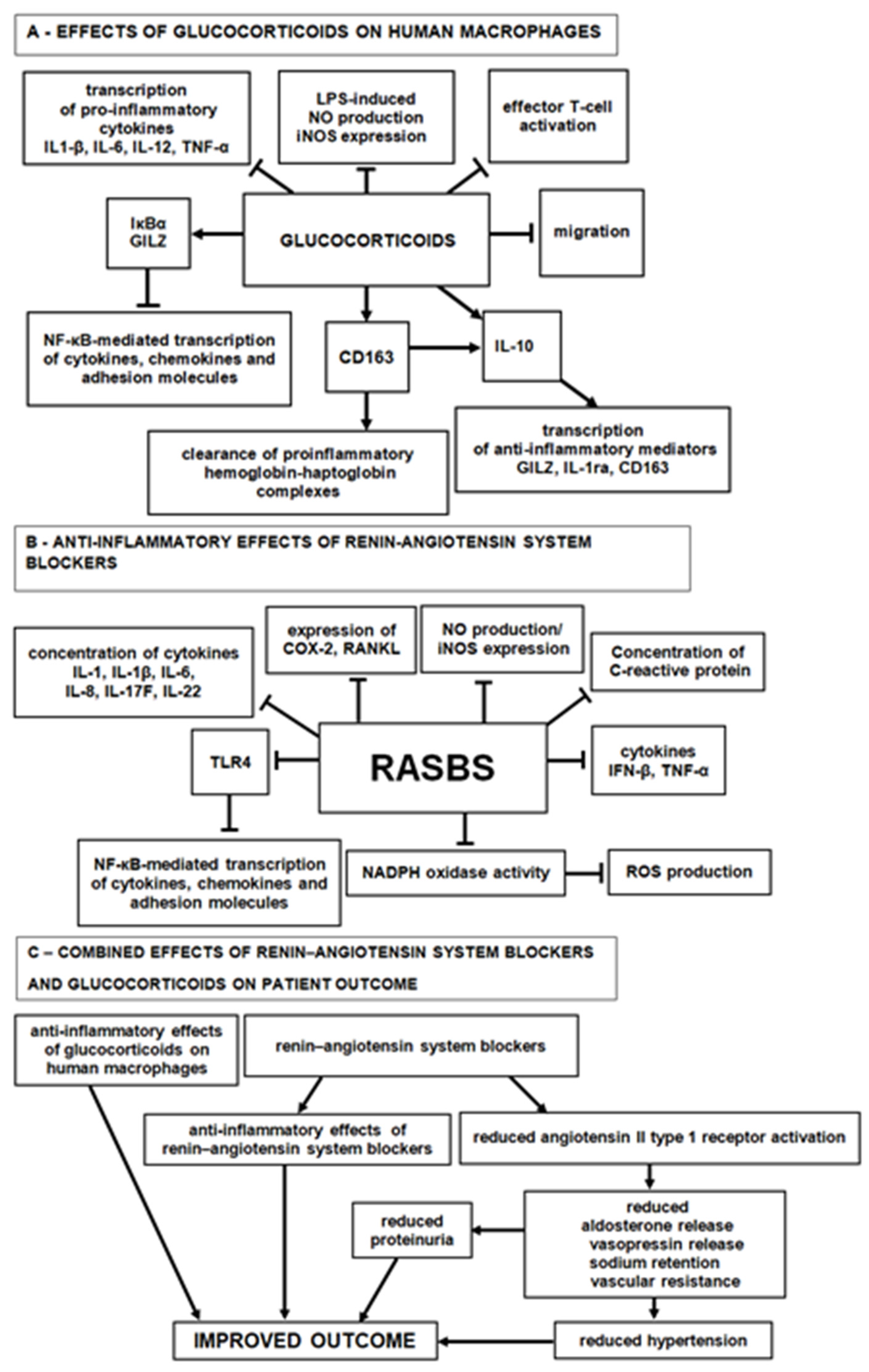 Jpm 13 00935 g006 Jpm 13 00935 g006