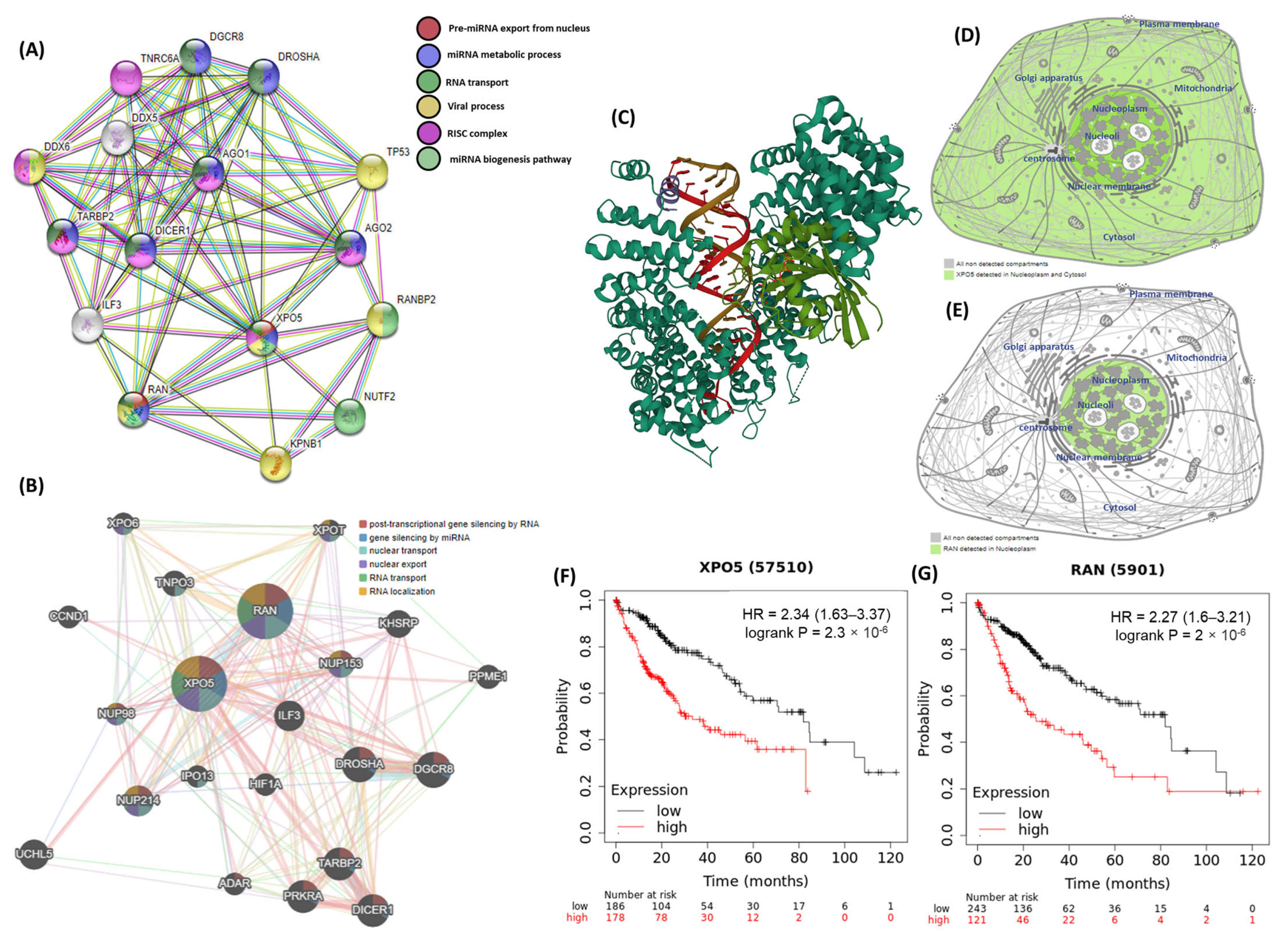 Jpm 13 00959 g003 Jpm 13 00959 g003