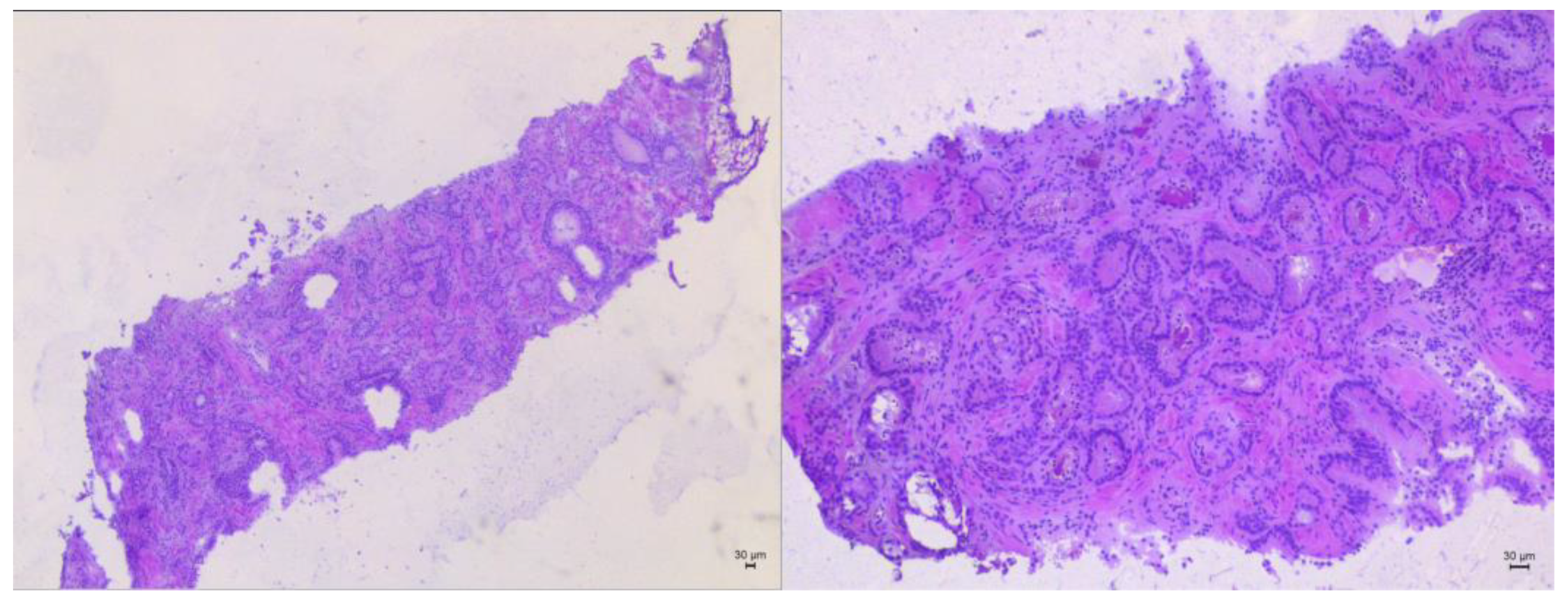 Jpm 13 00978 g004 Jpm 13 00978 g004