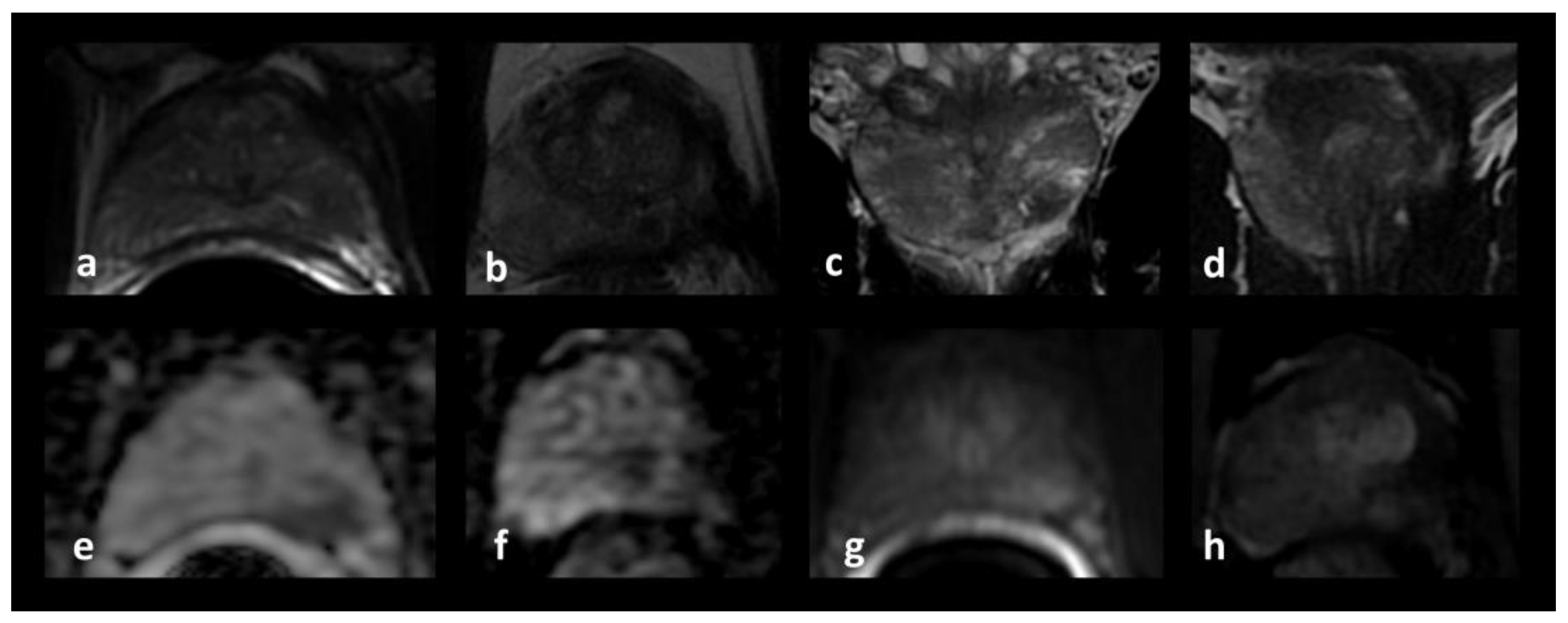 Jpm 13 00978 g007 Jpm 13 00978 g007