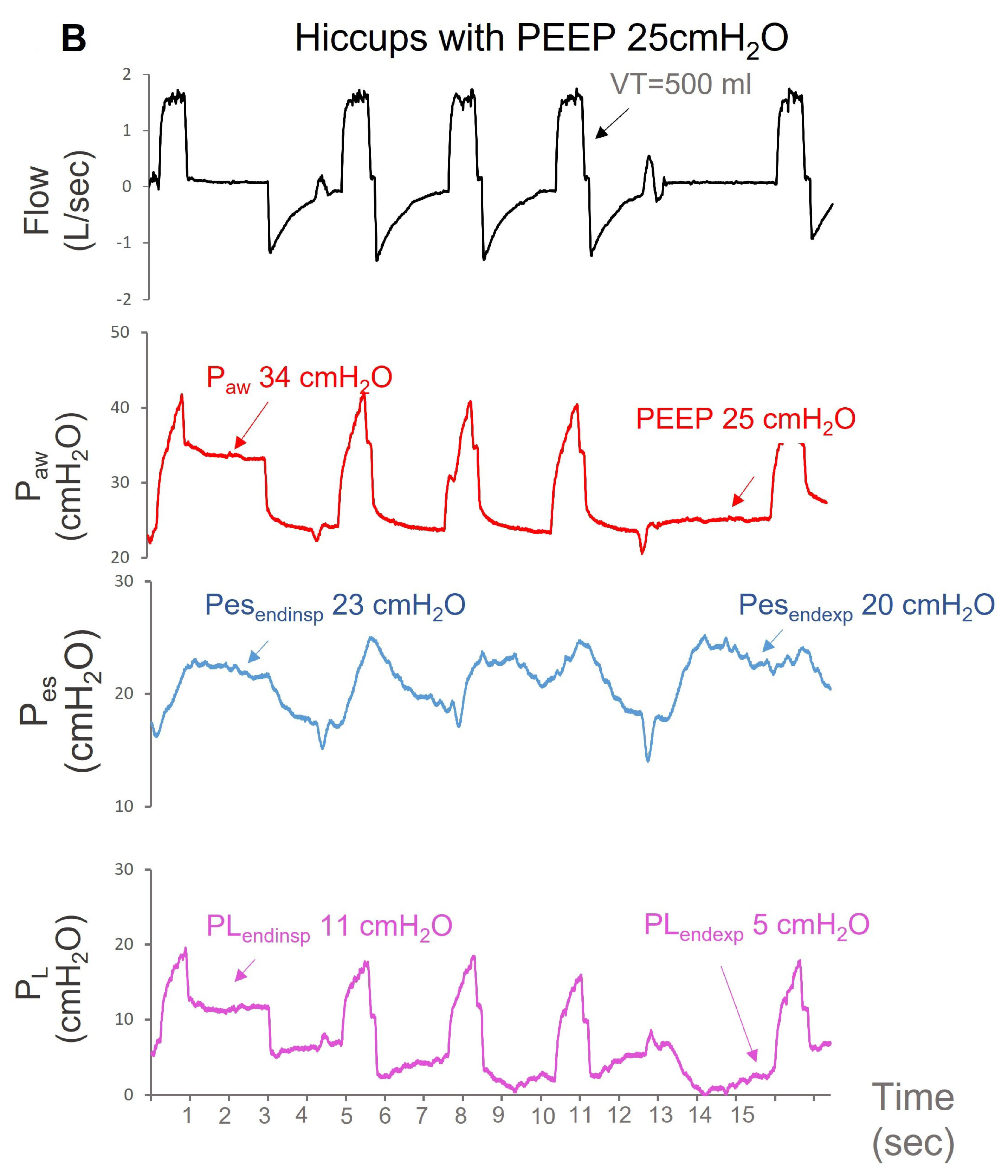 Jpm 13 00984 g002b Jpm 13 00984 g002b