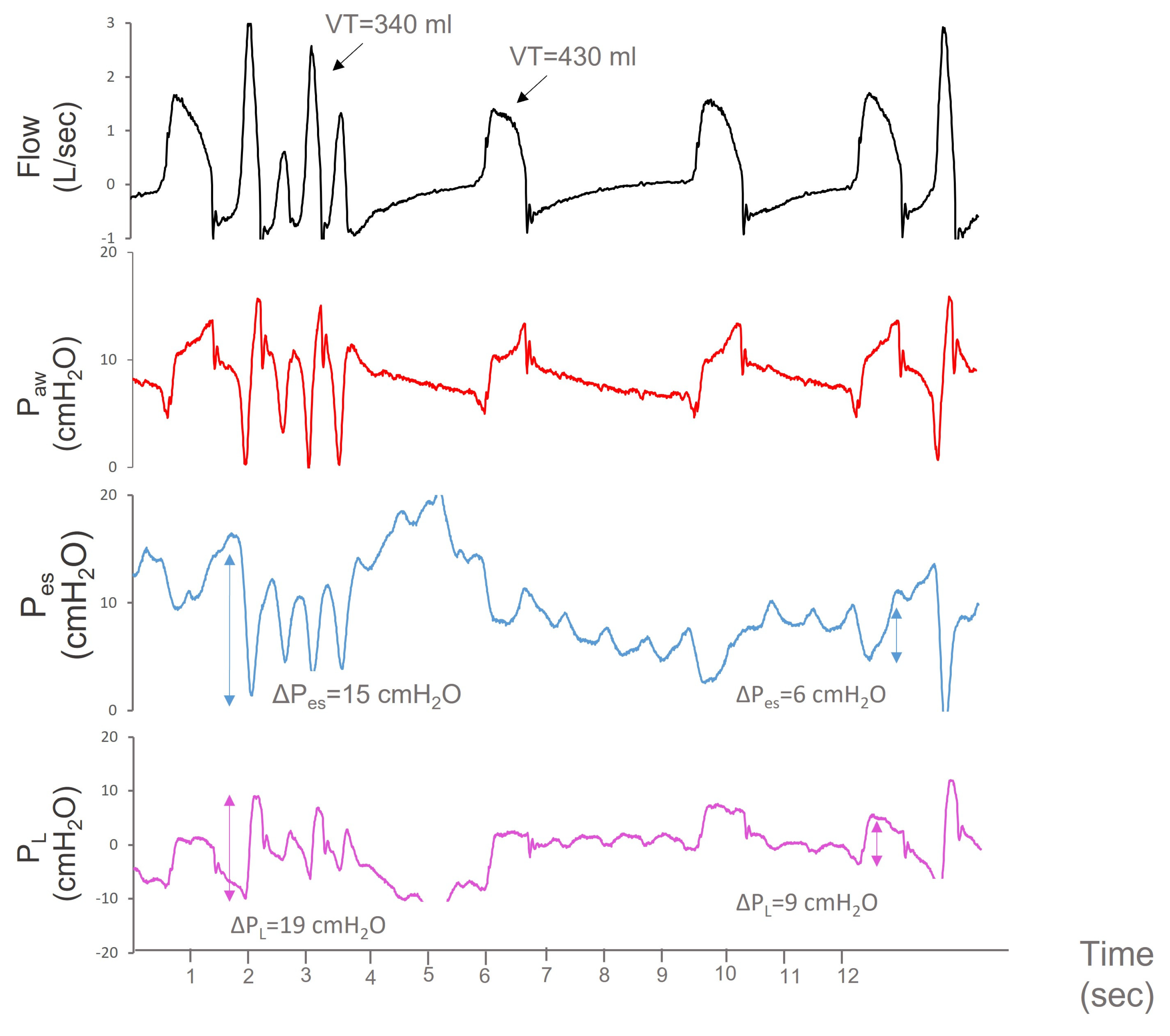 Jpm 13 00984 g003 Jpm 13 00984 g003