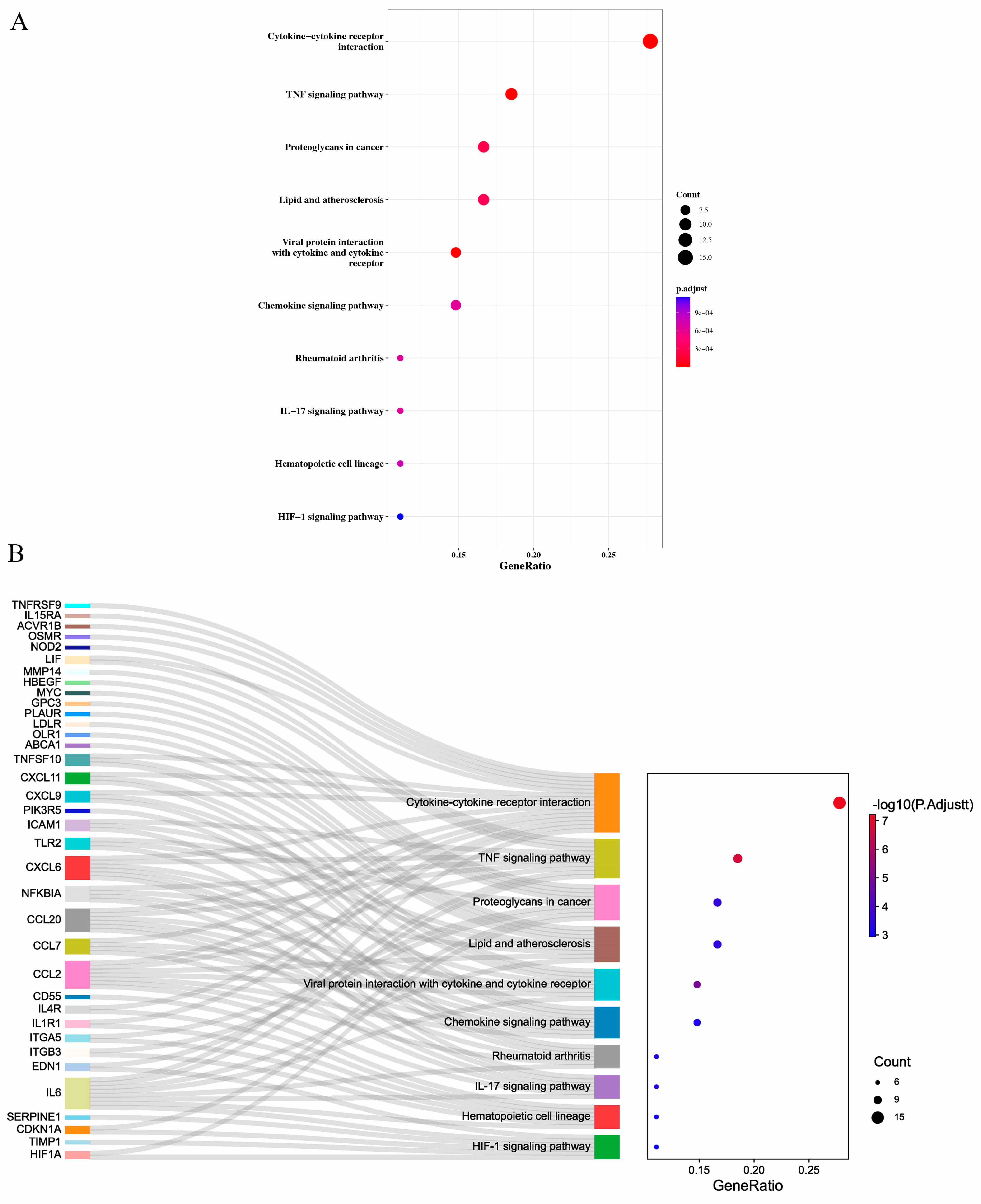 Jpm 13 00990 g003 Jpm 13 00990 g003
