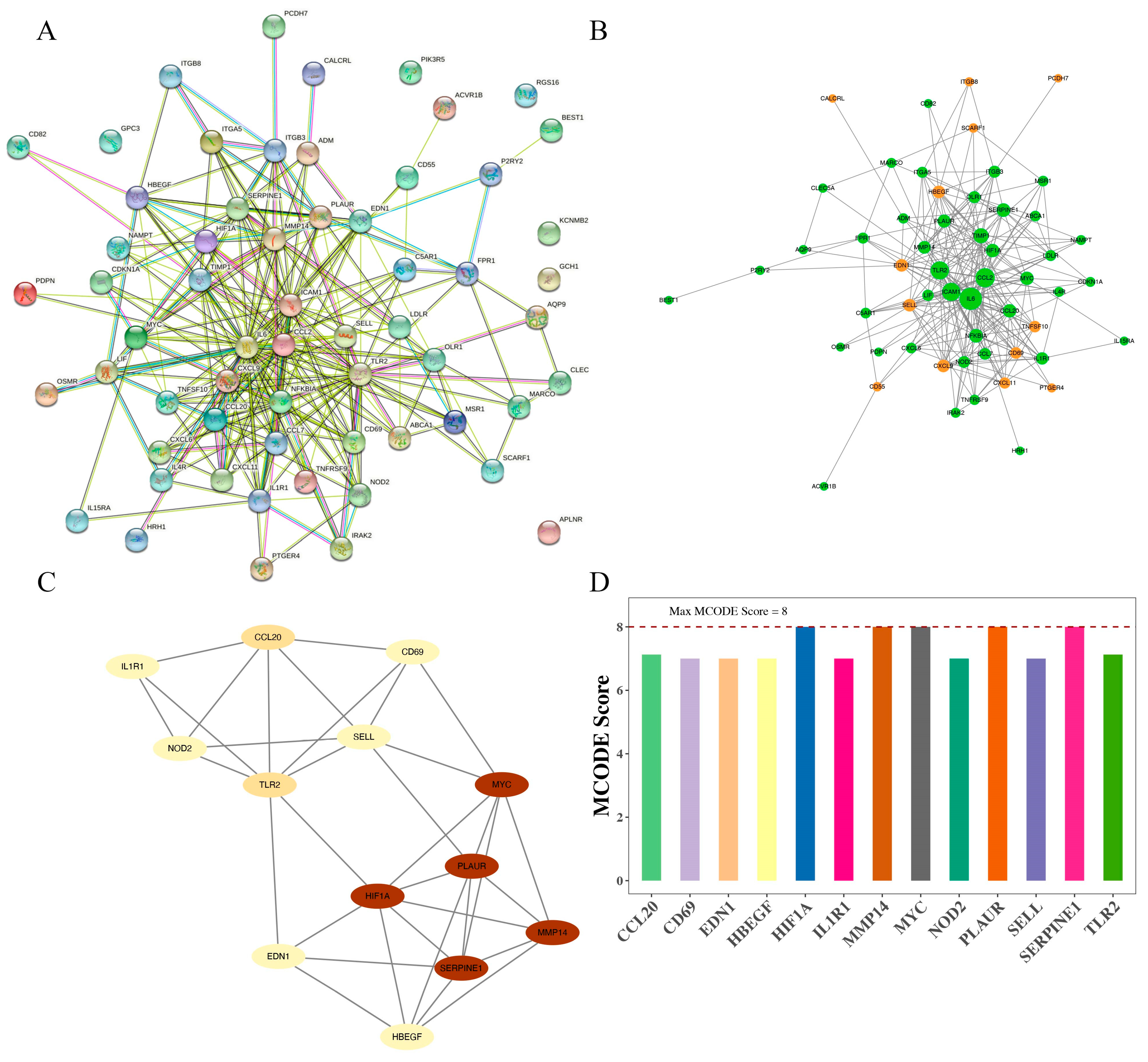 Jpm 13 00990 g004 Jpm 13 00990 g004