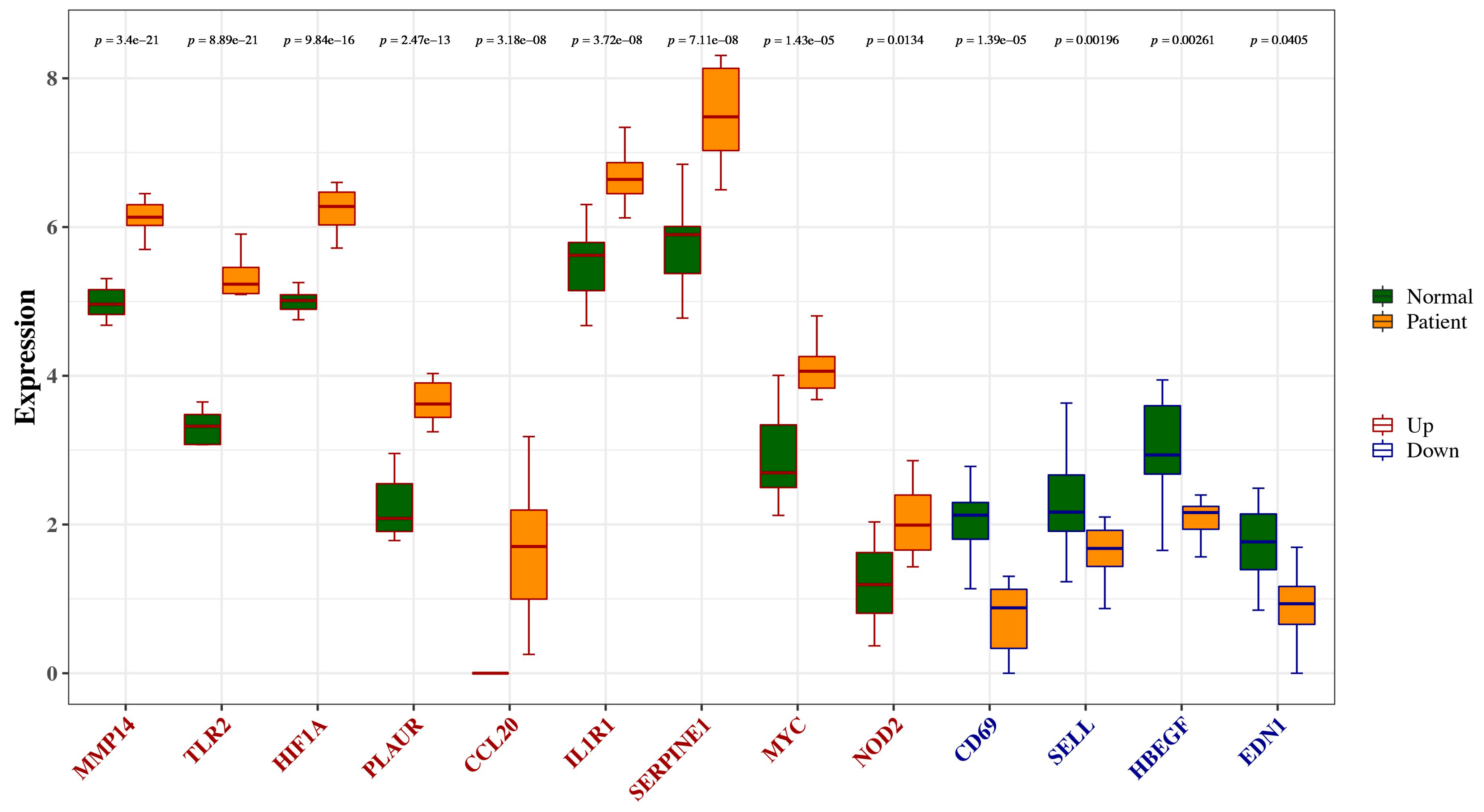 Jpm 13 00990 g007 Jpm 13 00990 g007