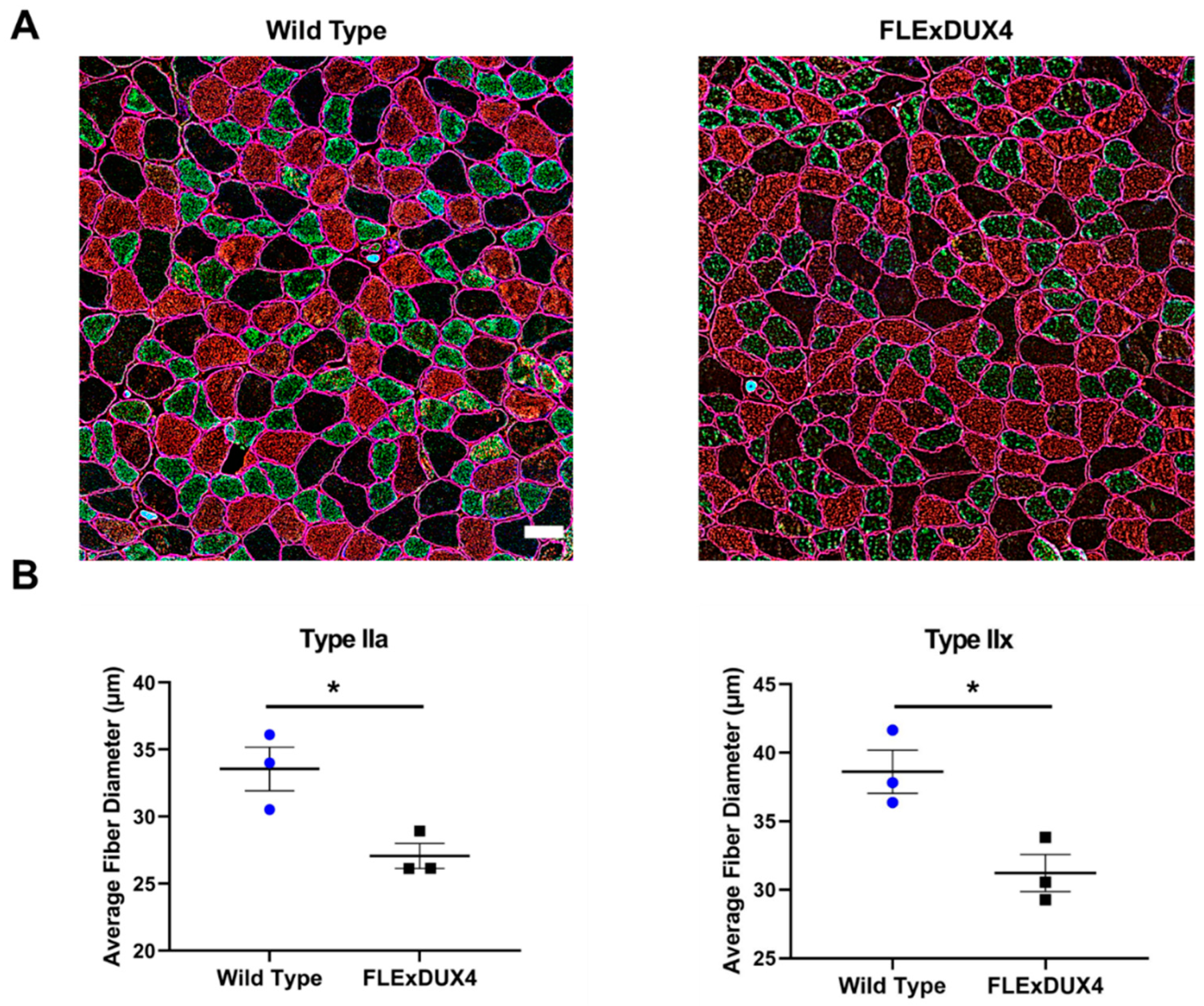 Jpm 13 01040 g004 Jpm 13 01040 g004