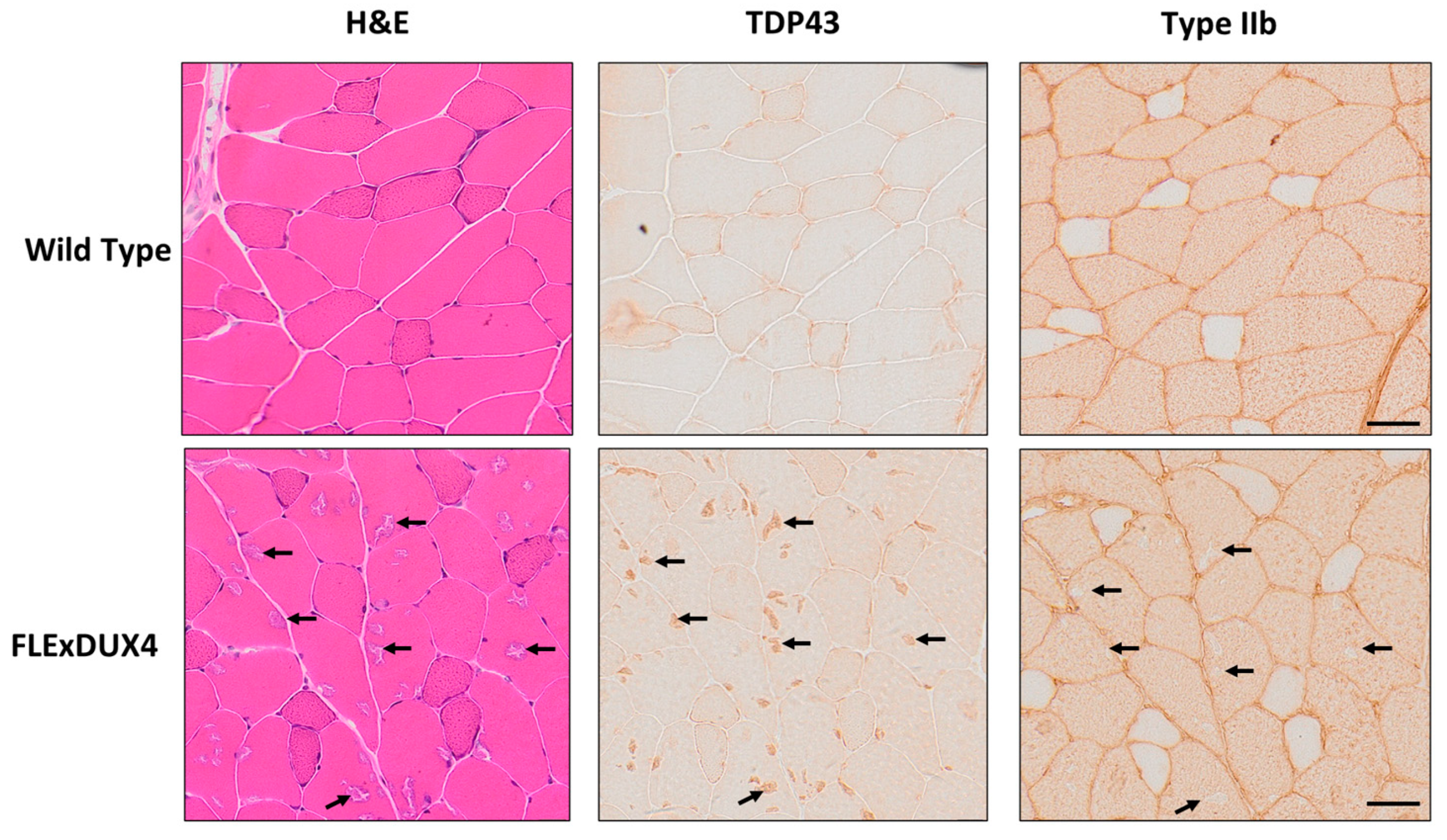 Jpm 13 01040 g006 Jpm 13 01040 g006