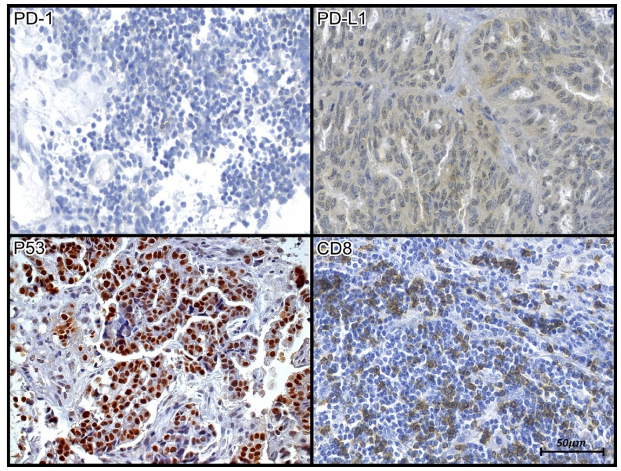 Jpm 13 01045 g001 Jpm 13 01045 g001