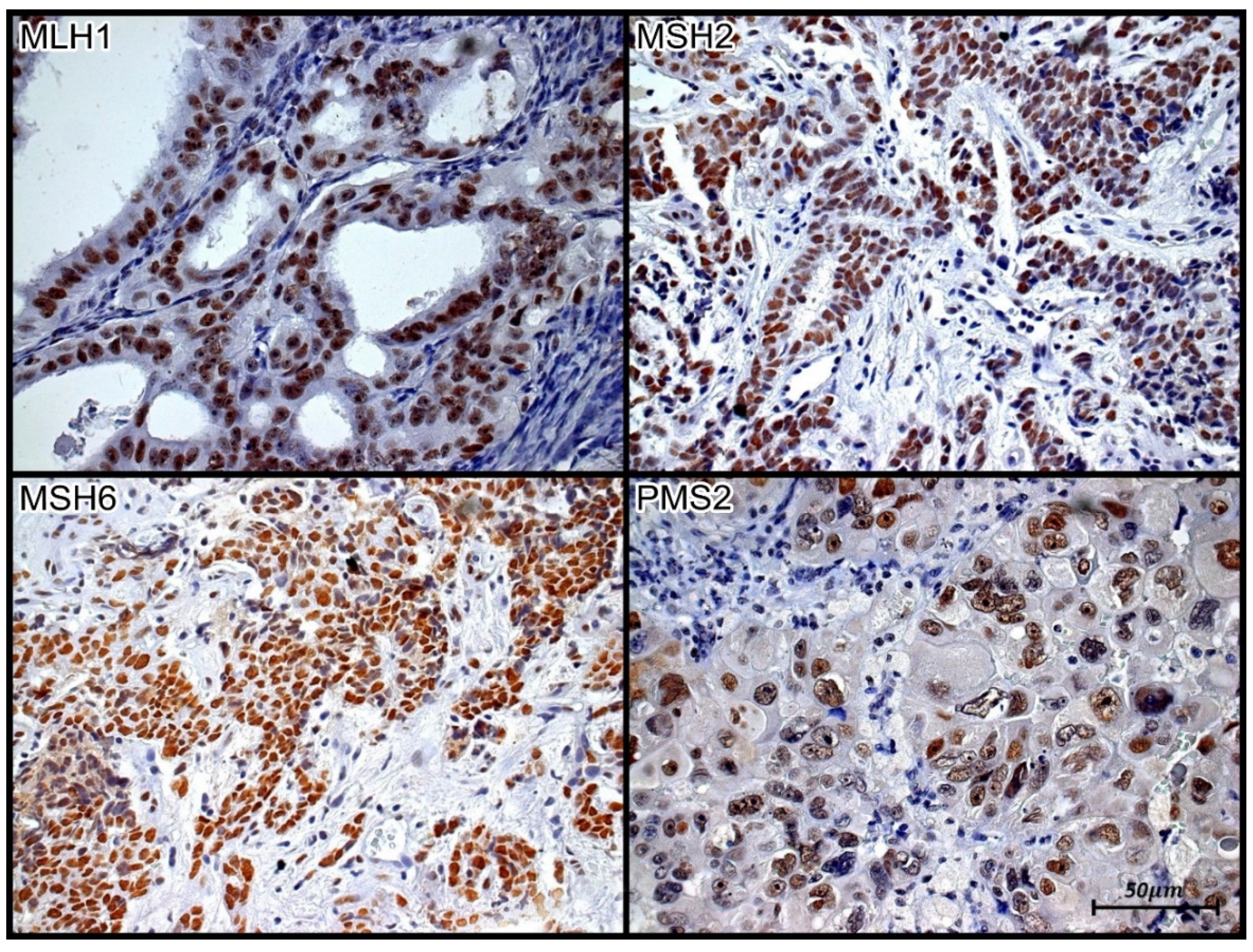 Jpm 13 01045 g002 Jpm 13 01045 g002