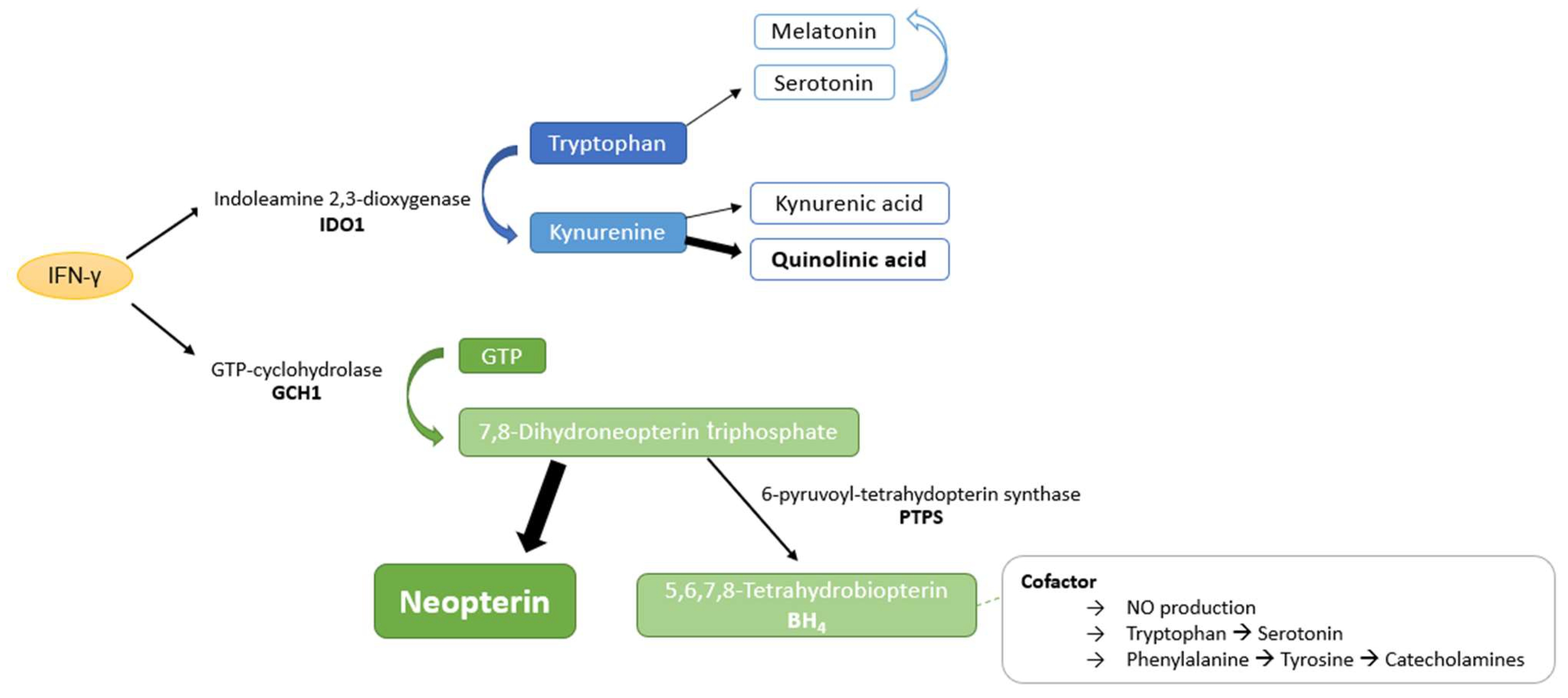 Jpm 13 01055 g001 Jpm 13 01055 g001