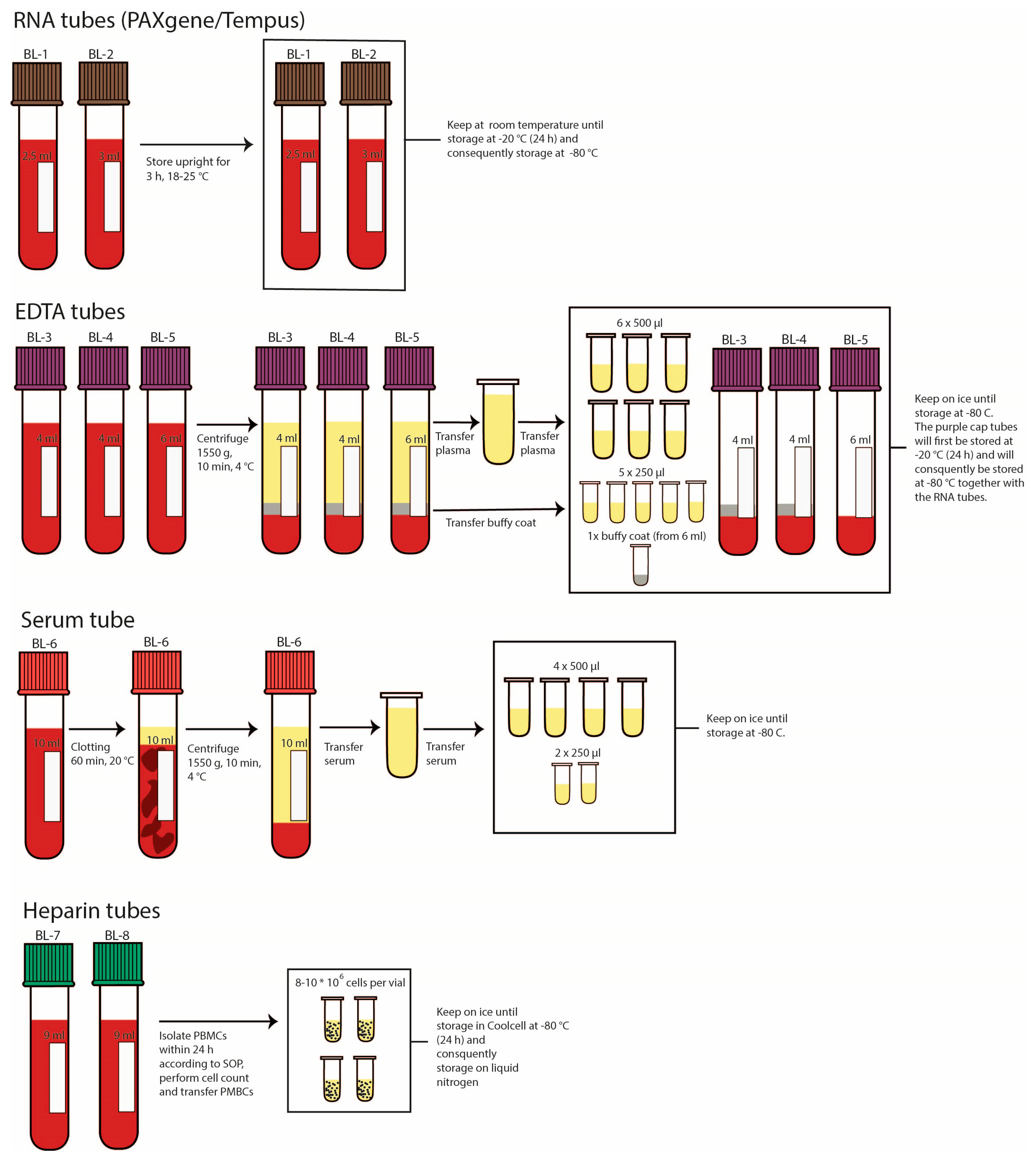 Jpm 13 01060 g0a1 Jpm 13 01060 g0a1