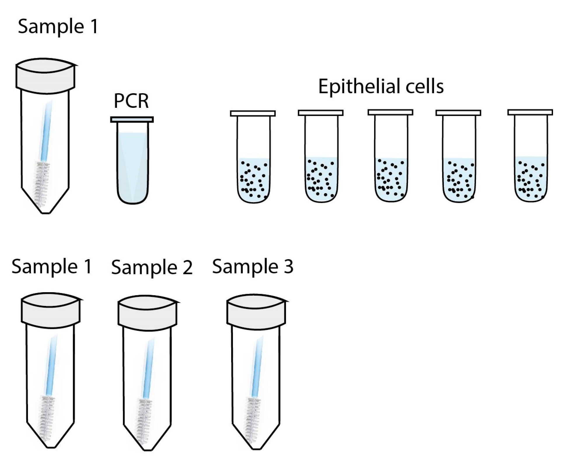 Jpm 13 01060 g0a2 Jpm 13 01060 g0a2