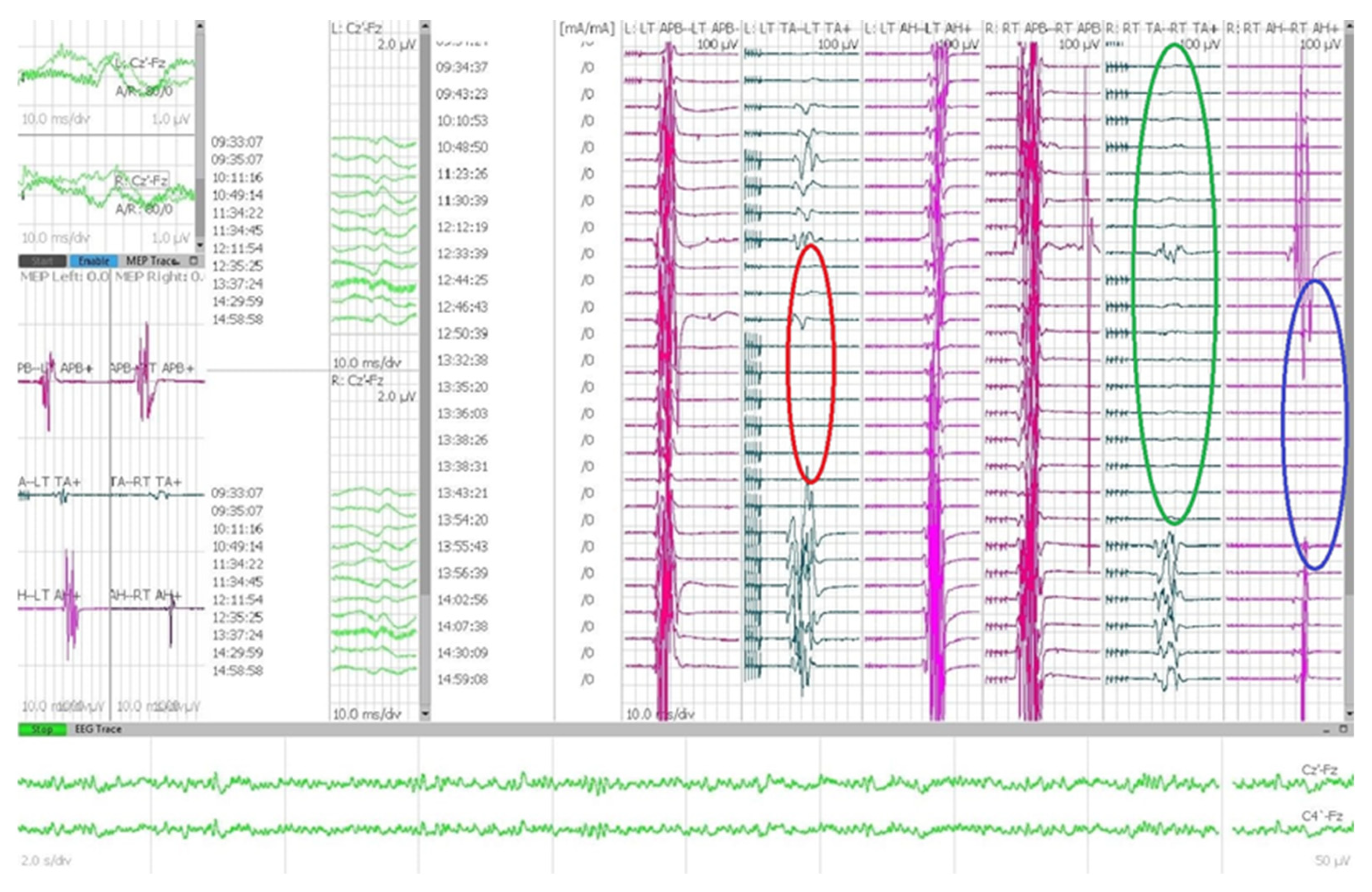 Jpm 13 01103 g001 Jpm 13 01103 g001