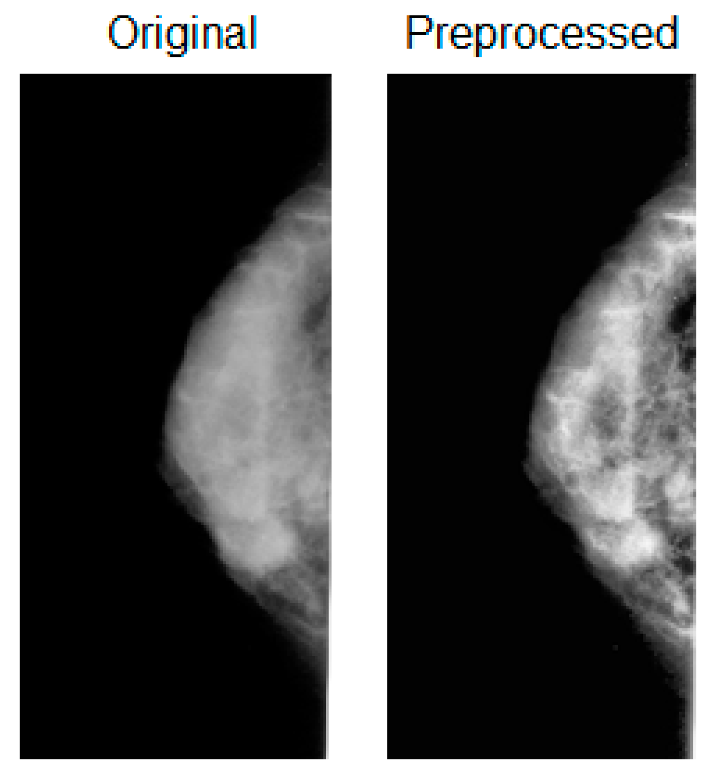 Jpm 13 01104 g002 Jpm 13 01104 g002