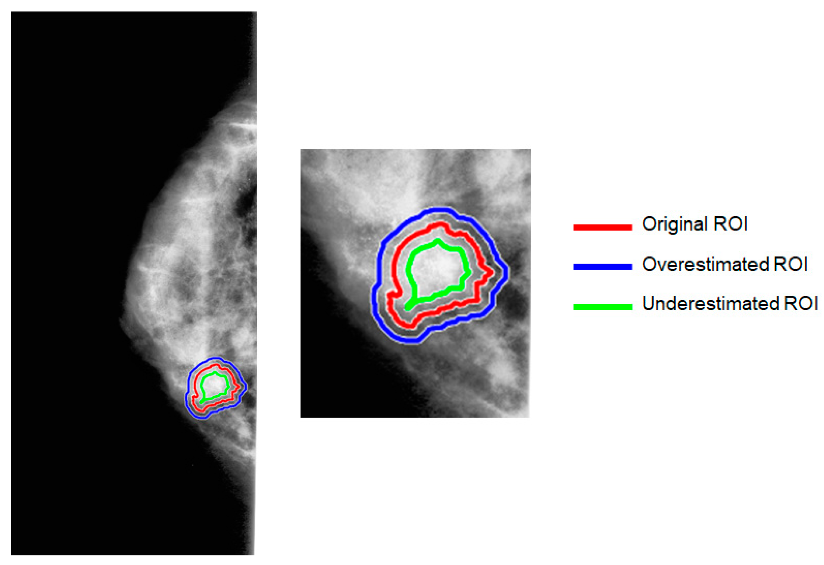 Jpm 13 01104 g003 Jpm 13 01104 g003