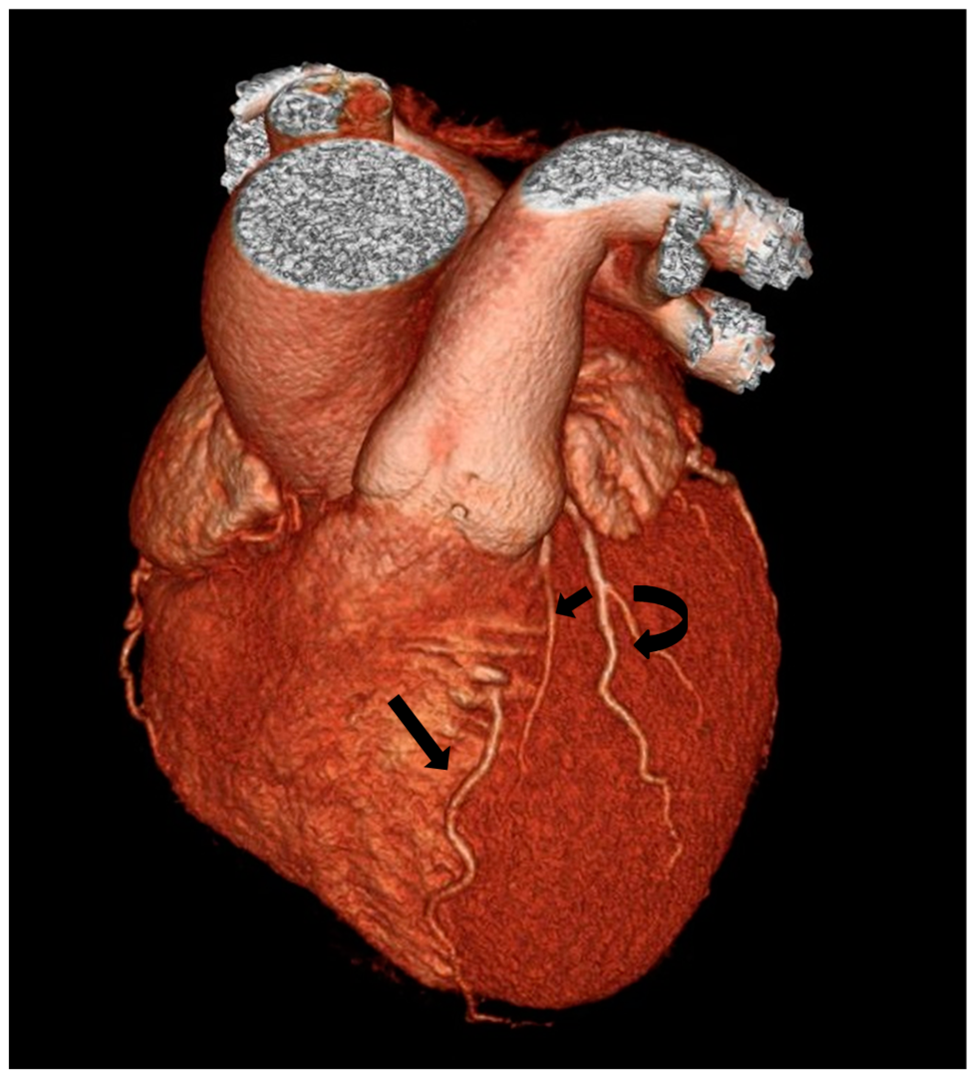 Jpm 13 01127 g005 Jpm 13 01127 g005