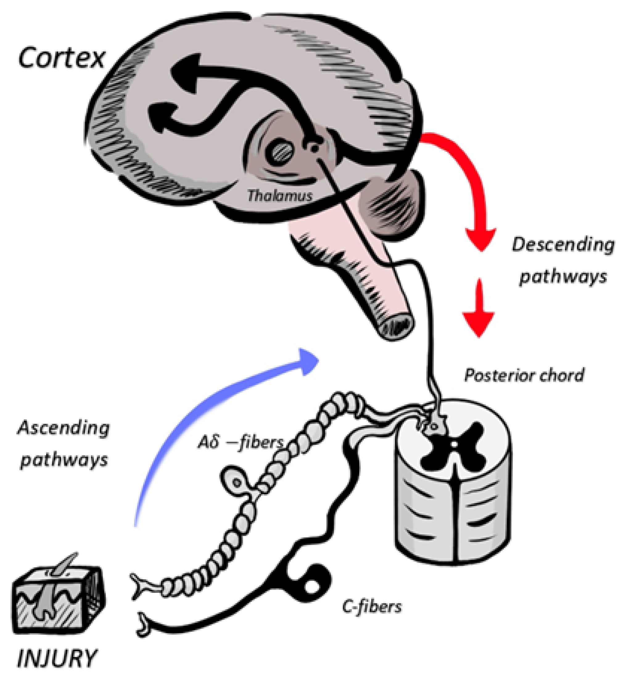 Jpm 13 01194 g001 Jpm 13 01194 g001