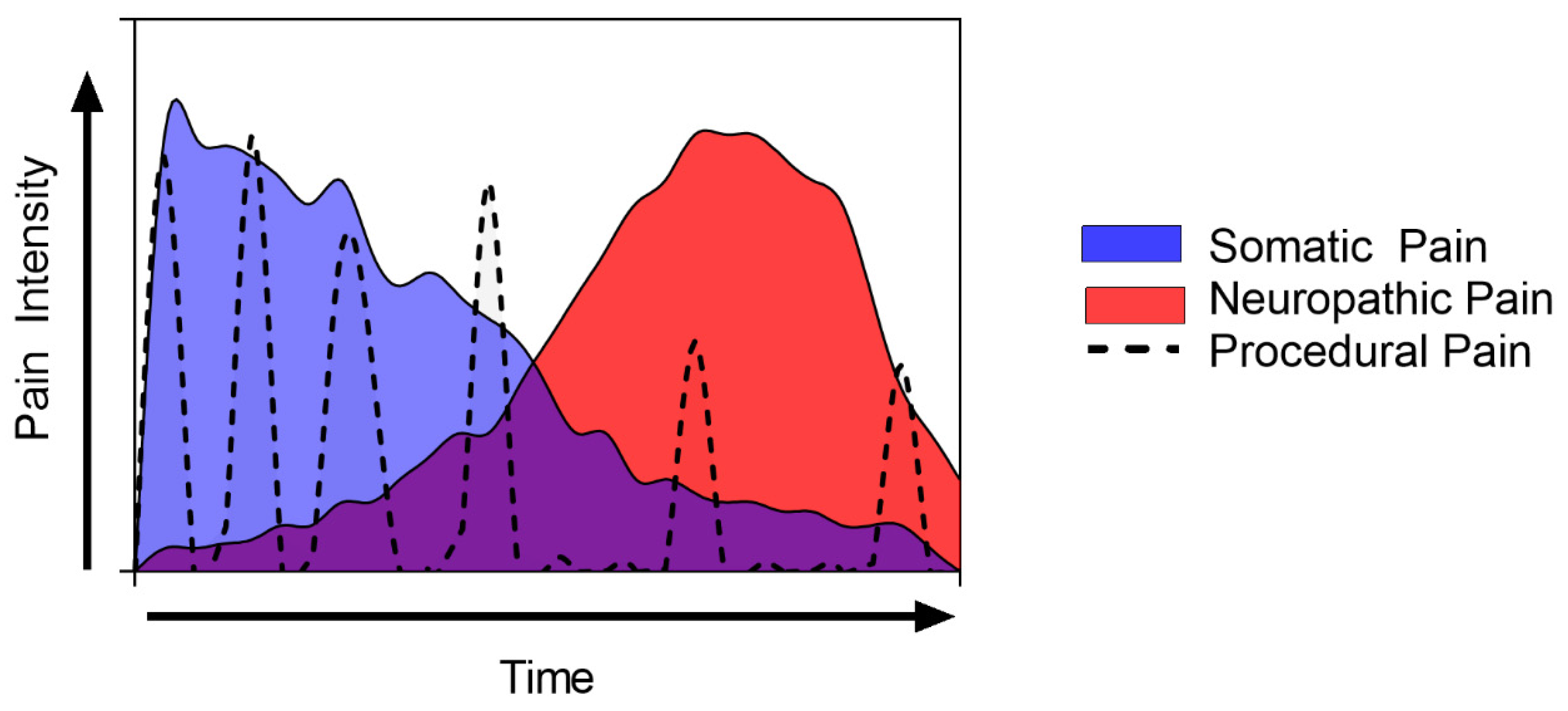 Jpm 13 01194 g002 Jpm 13 01194 g002