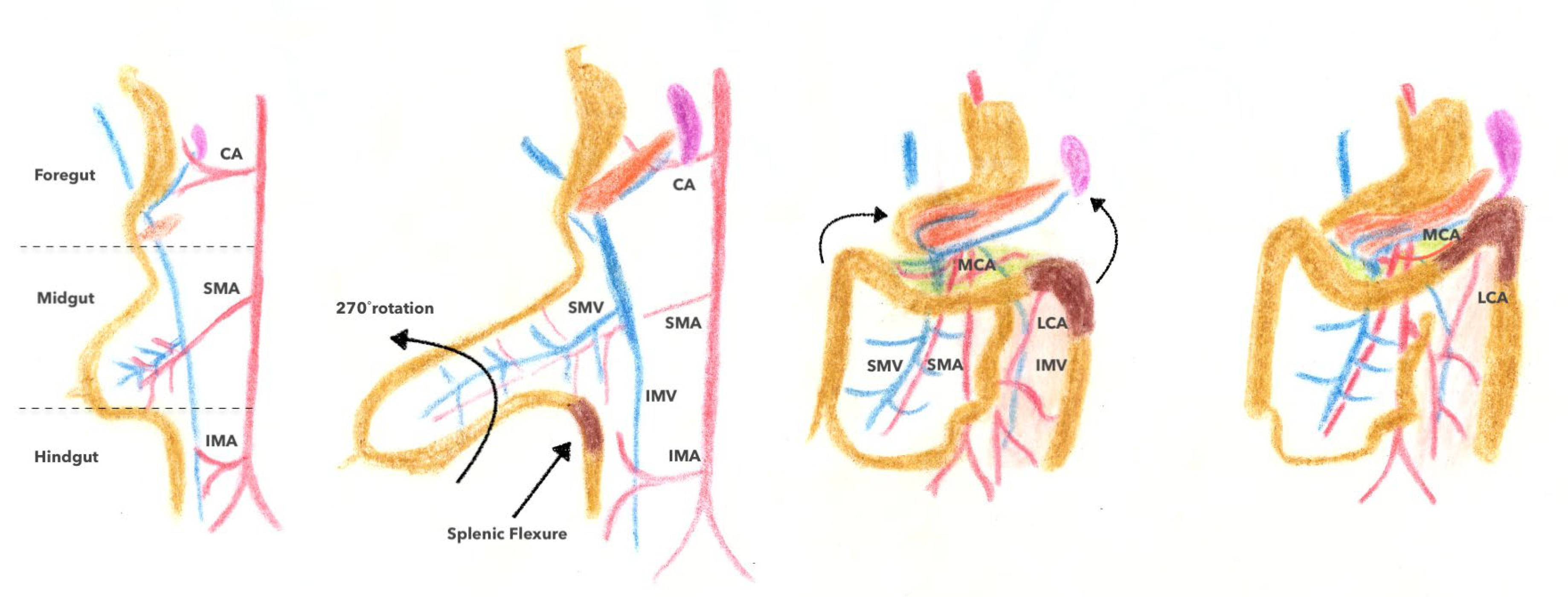 Jpm 13 01198 g001 Jpm 13 01198 g001