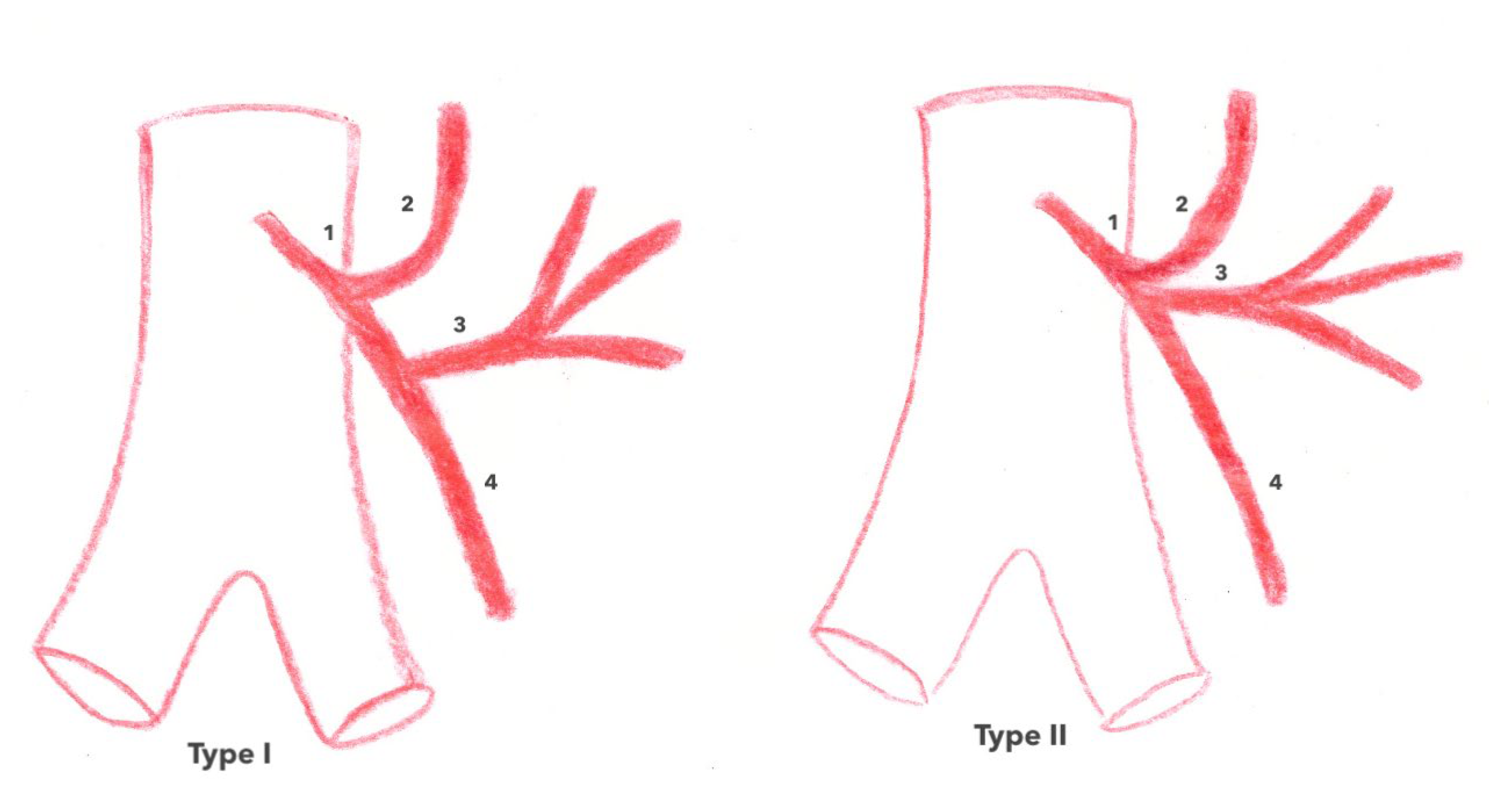 Jpm 13 01198 g004 Jpm 13 01198 g004