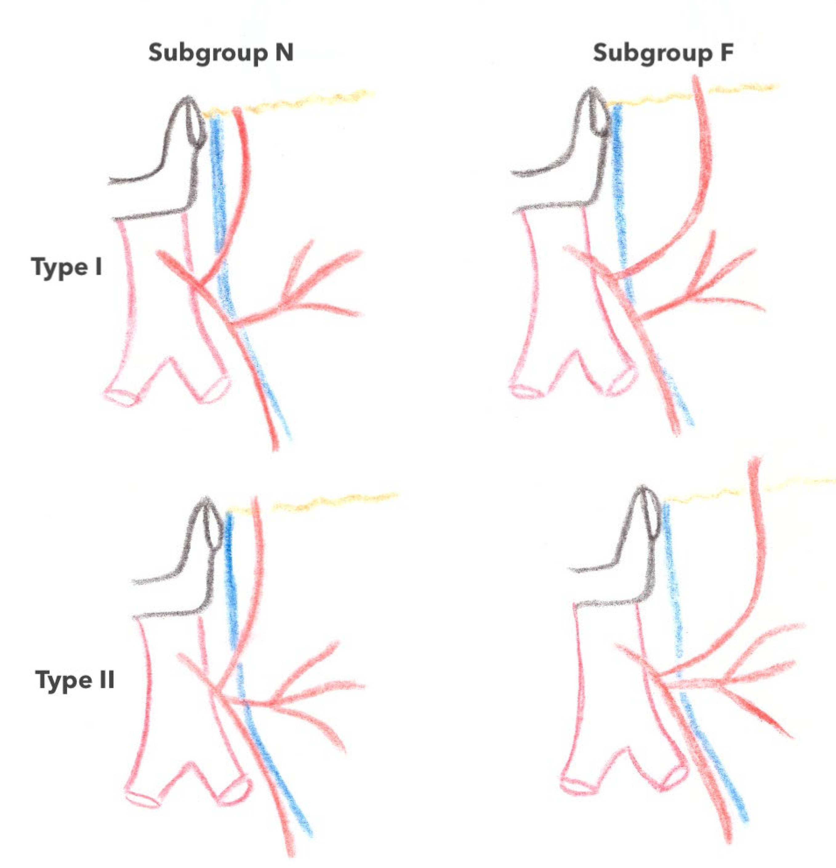 Jpm 13 01198 g005 Jpm 13 01198 g005