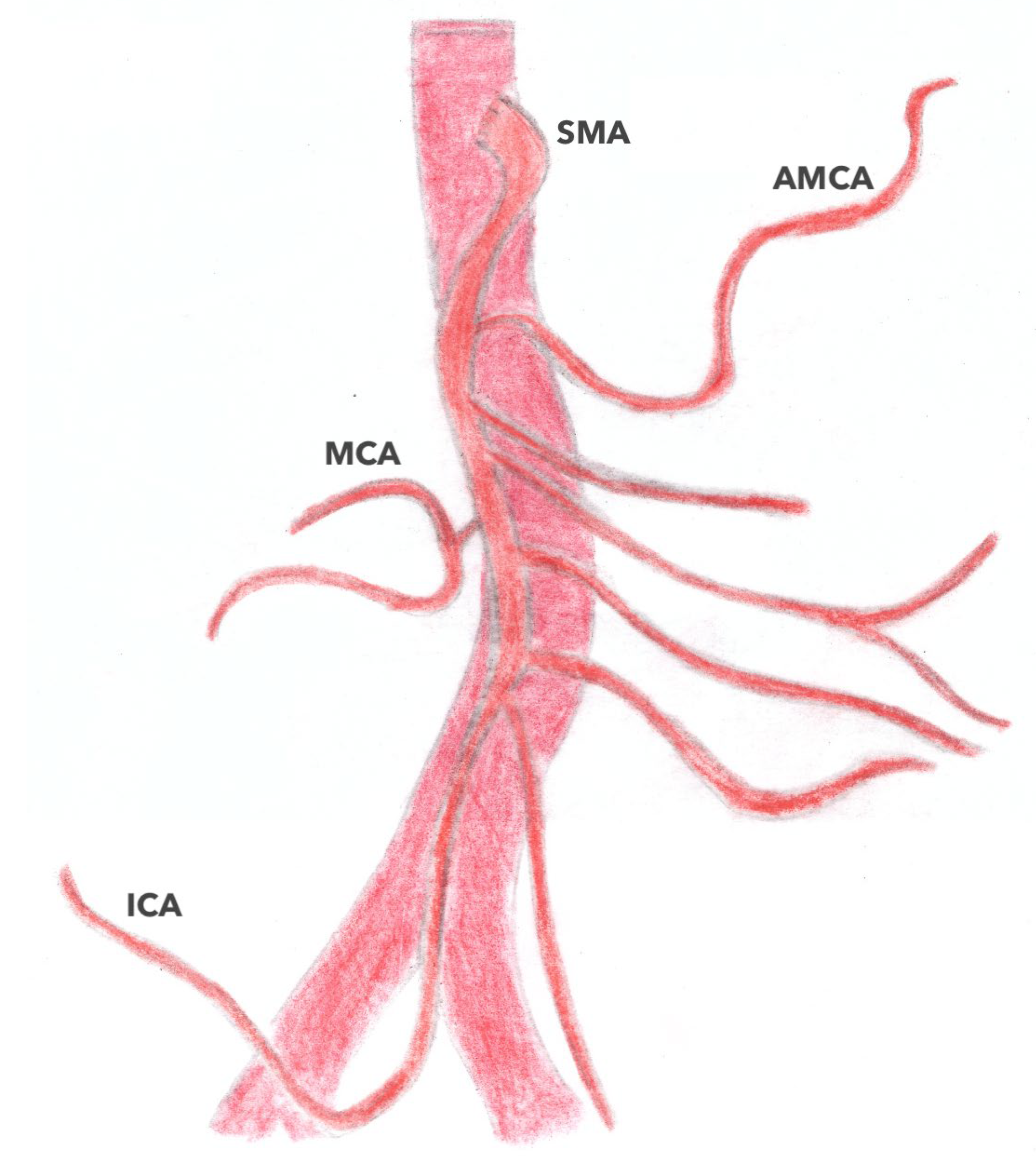 Jpm 13 01198 g007 Jpm 13 01198 g007