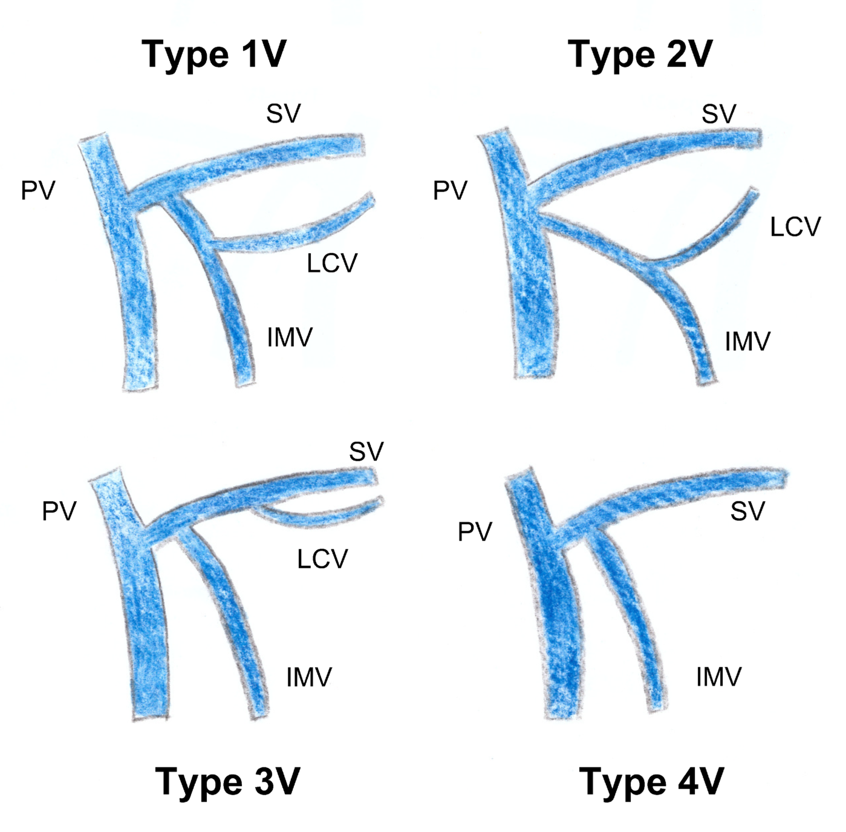 Jpm 13 01198 g010 Jpm 13 01198 g010