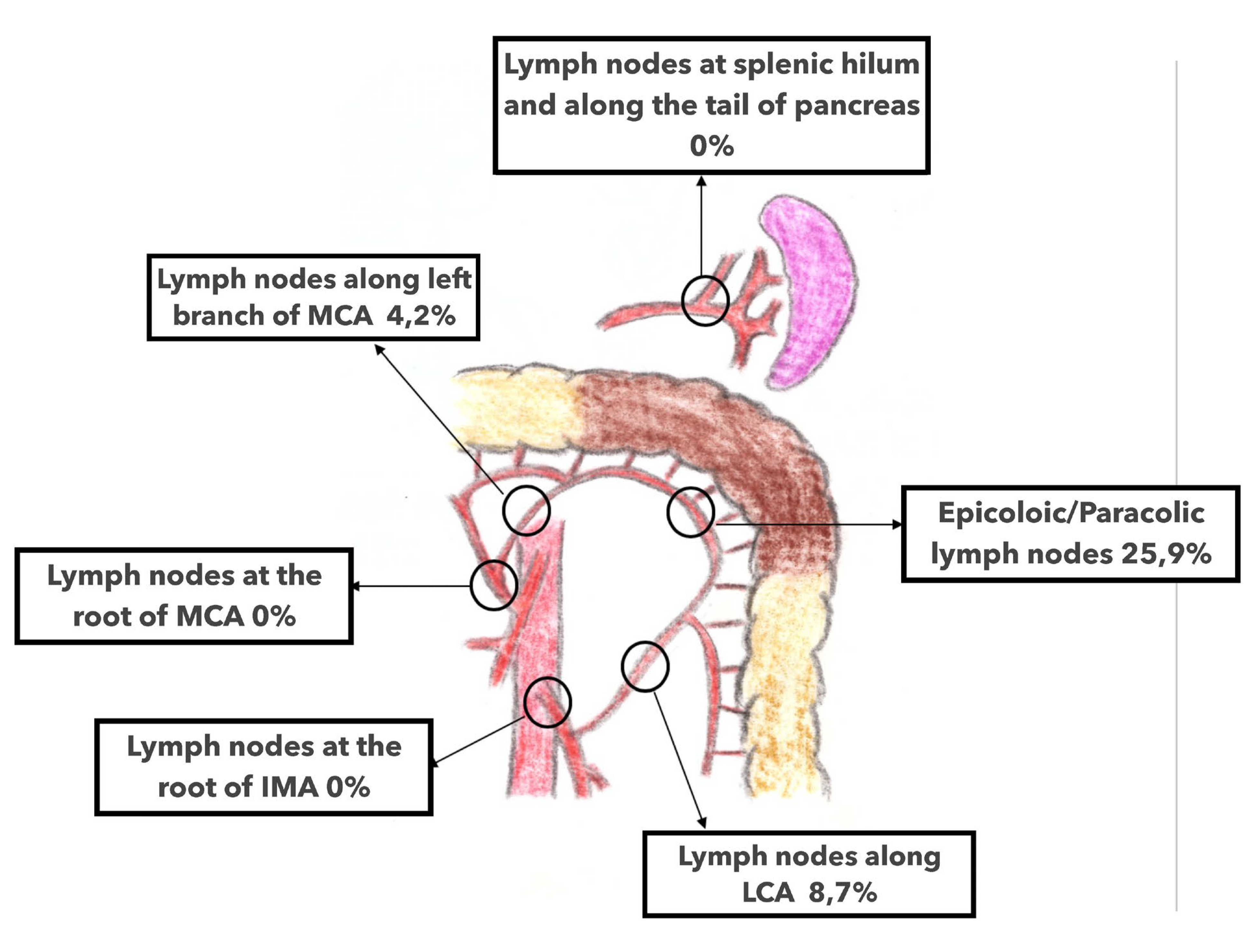 Jpm 13 01198 g011 Jpm 13 01198 g011