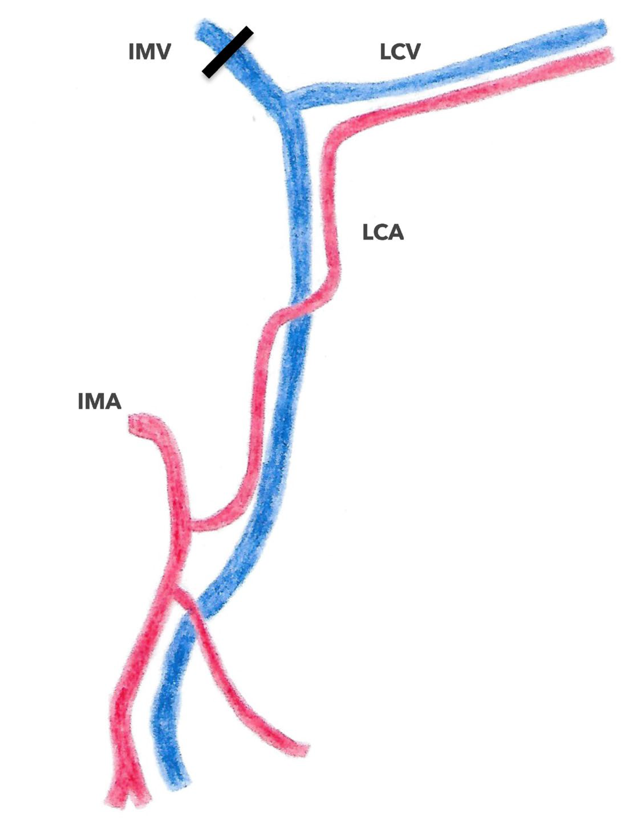 Jpm 13 01198 g012 Jpm 13 01198 g012