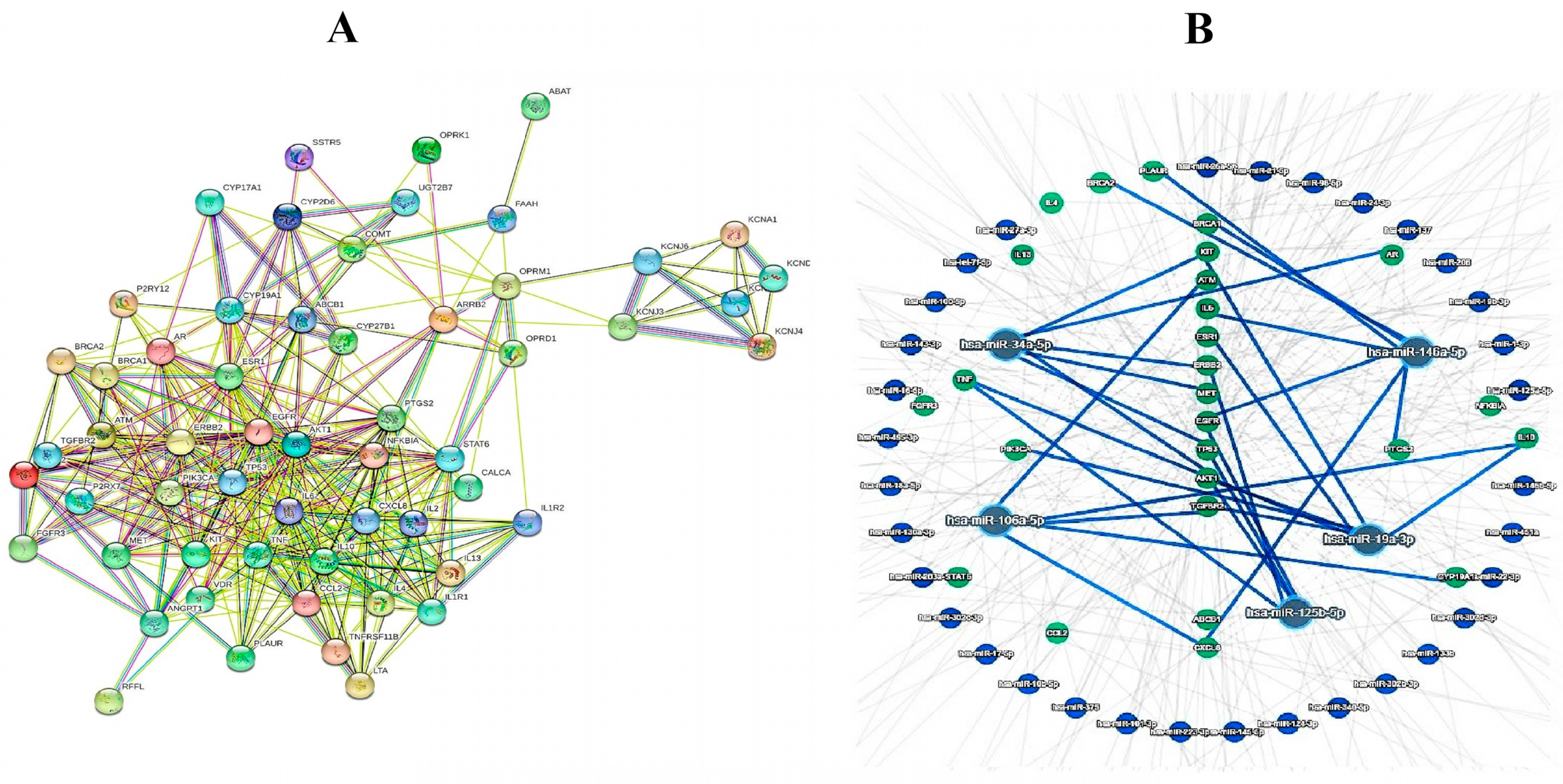 Jpm 13 01201 g004 Jpm 13 01201 g004