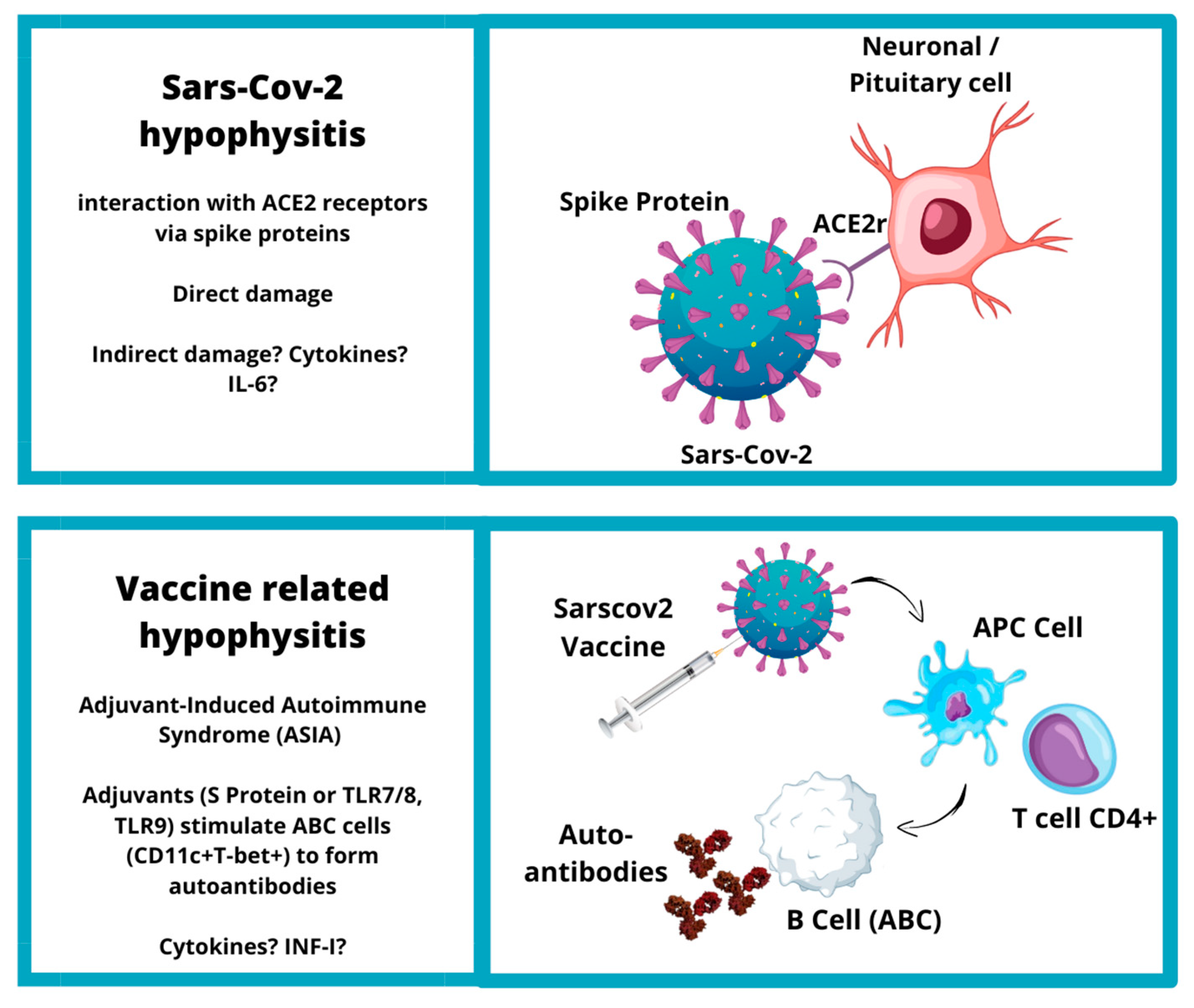 Jpm 13 01210 g003 Jpm 13 01210 g003