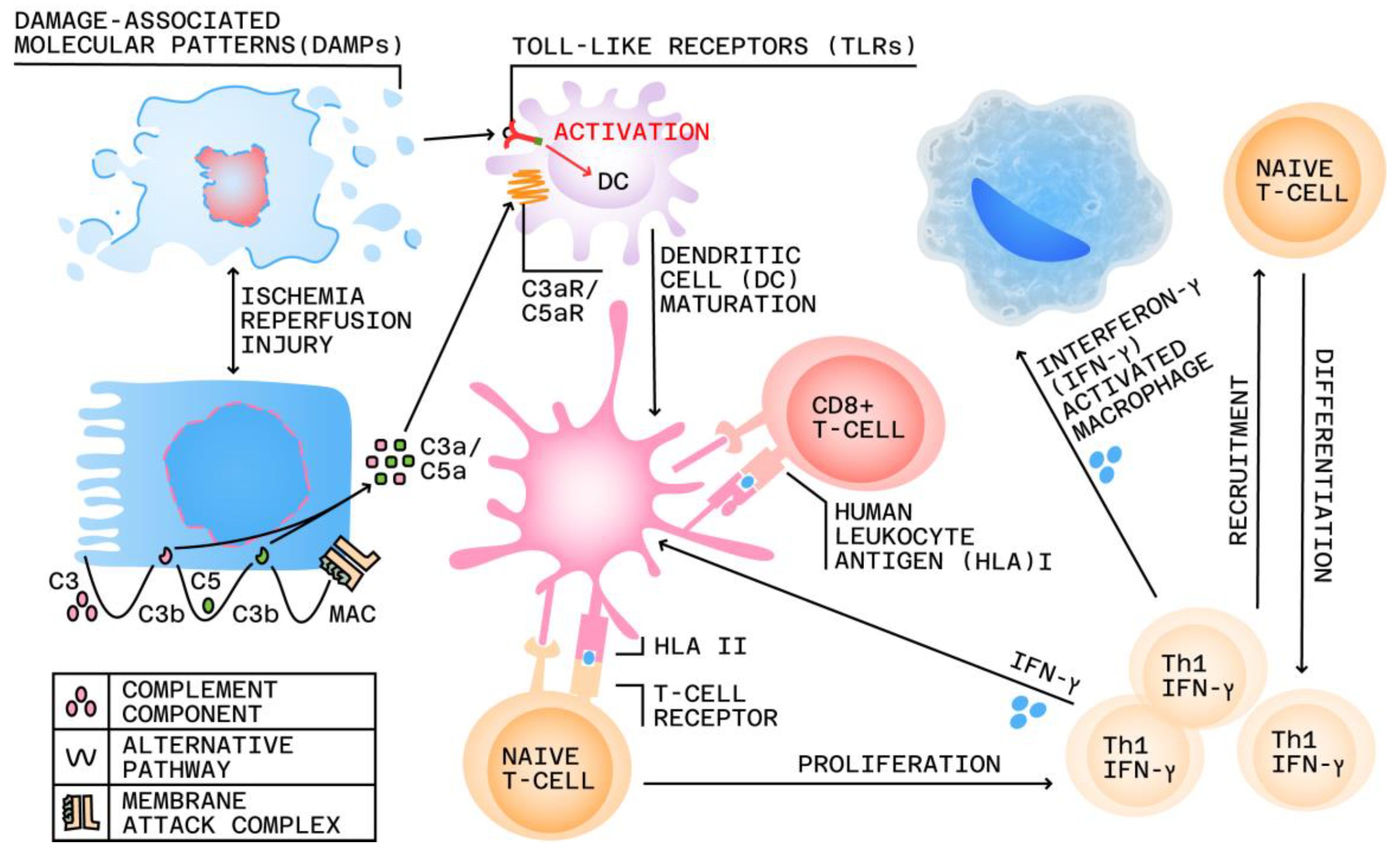 Jpm 13 01216 g001 Jpm 13 01216 g001