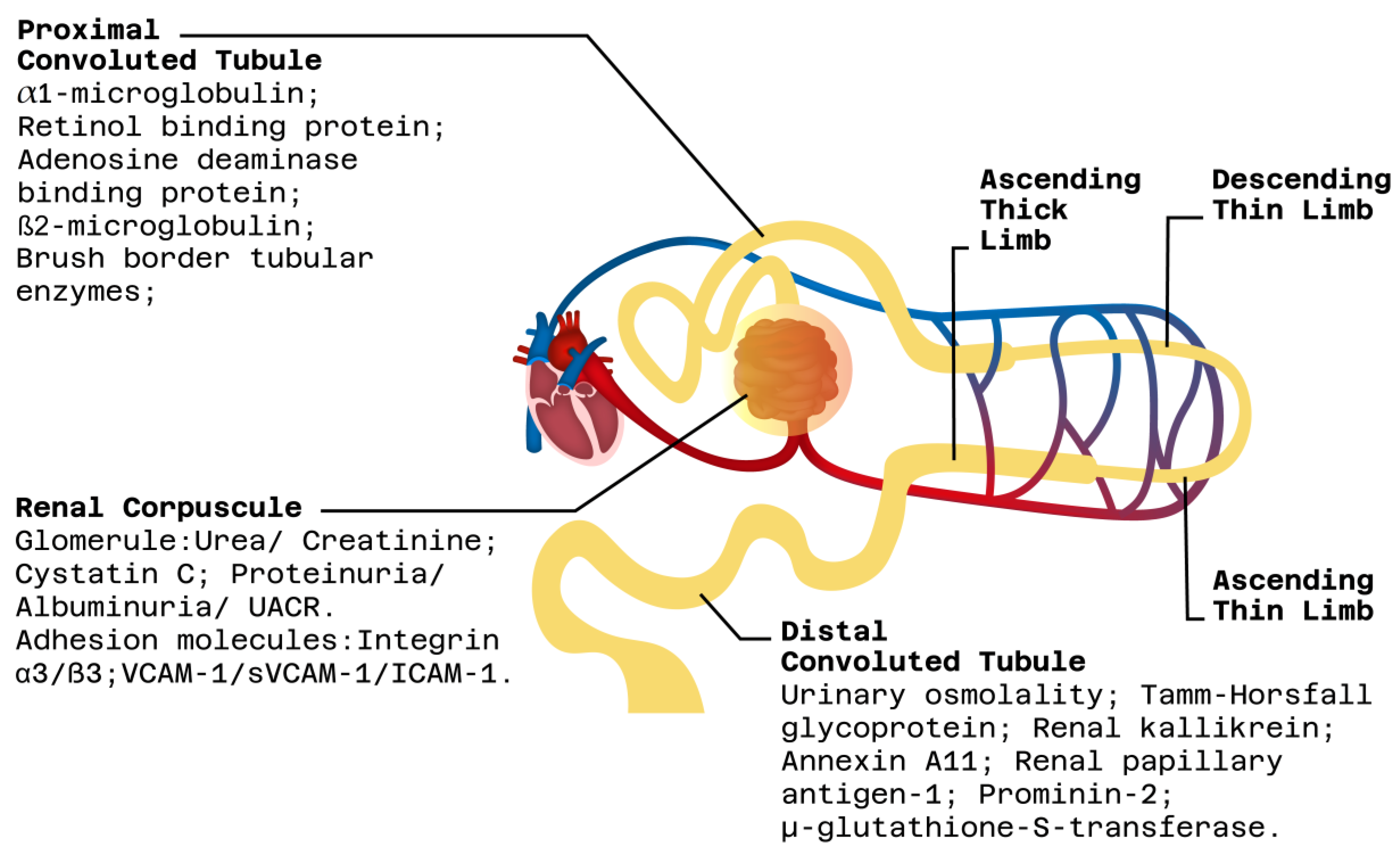 Jpm 13 01216 g002 Jpm 13 01216 g002
