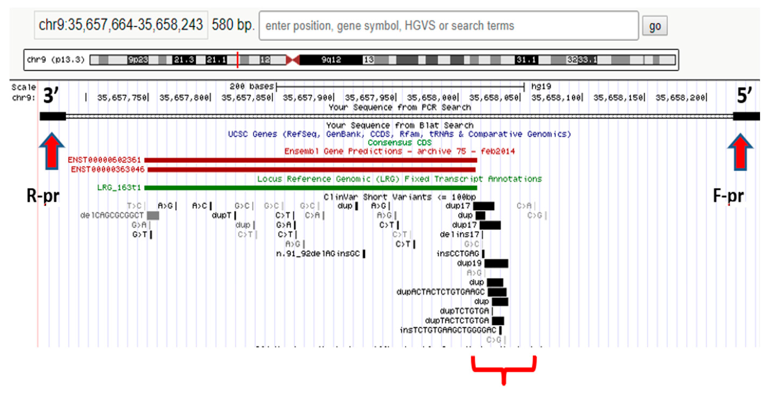 Jpm 13 01236 g001 Jpm 13 01236 g001