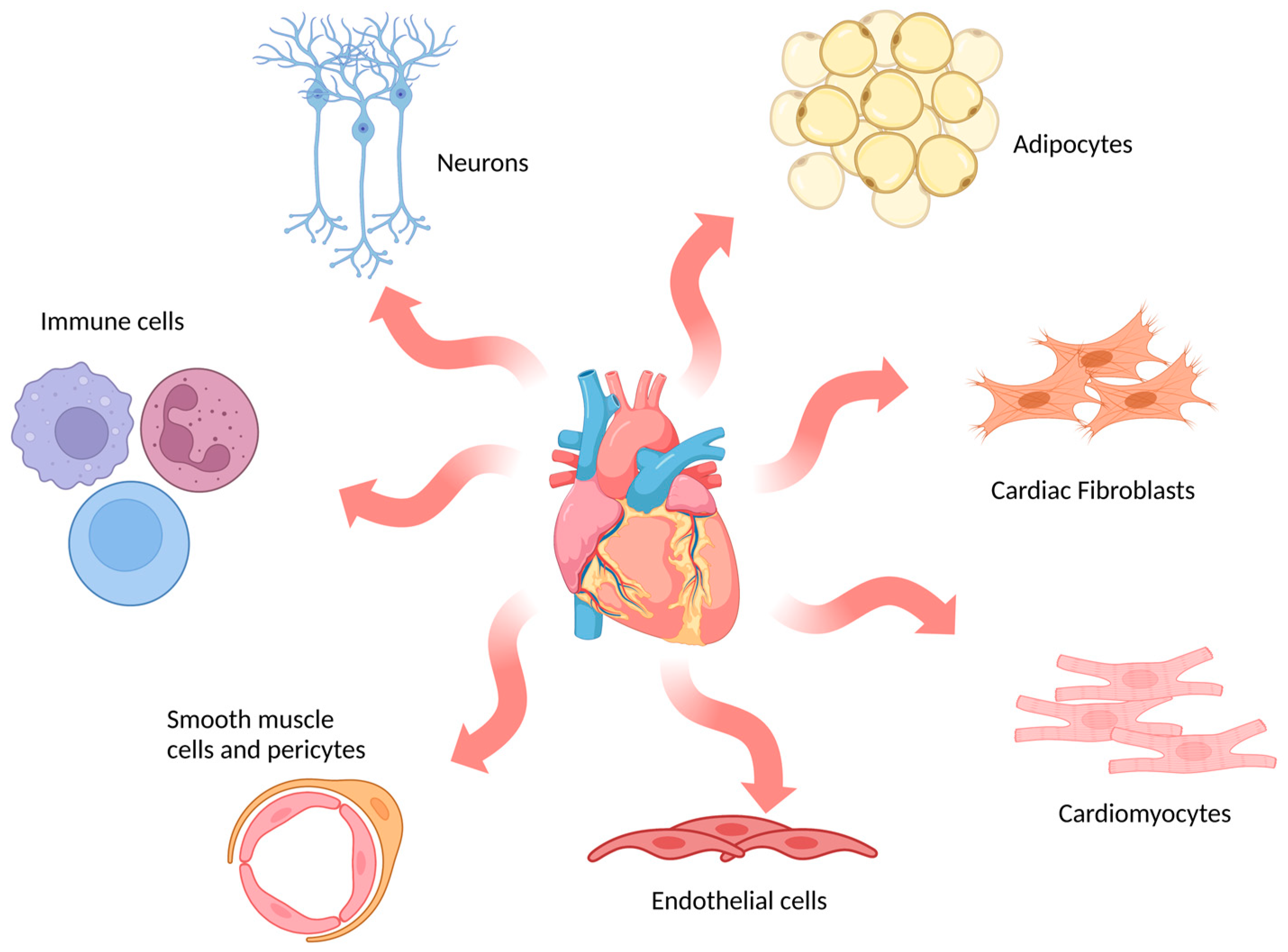 Jpm 13 01237 g002 Jpm 13 01237 g002