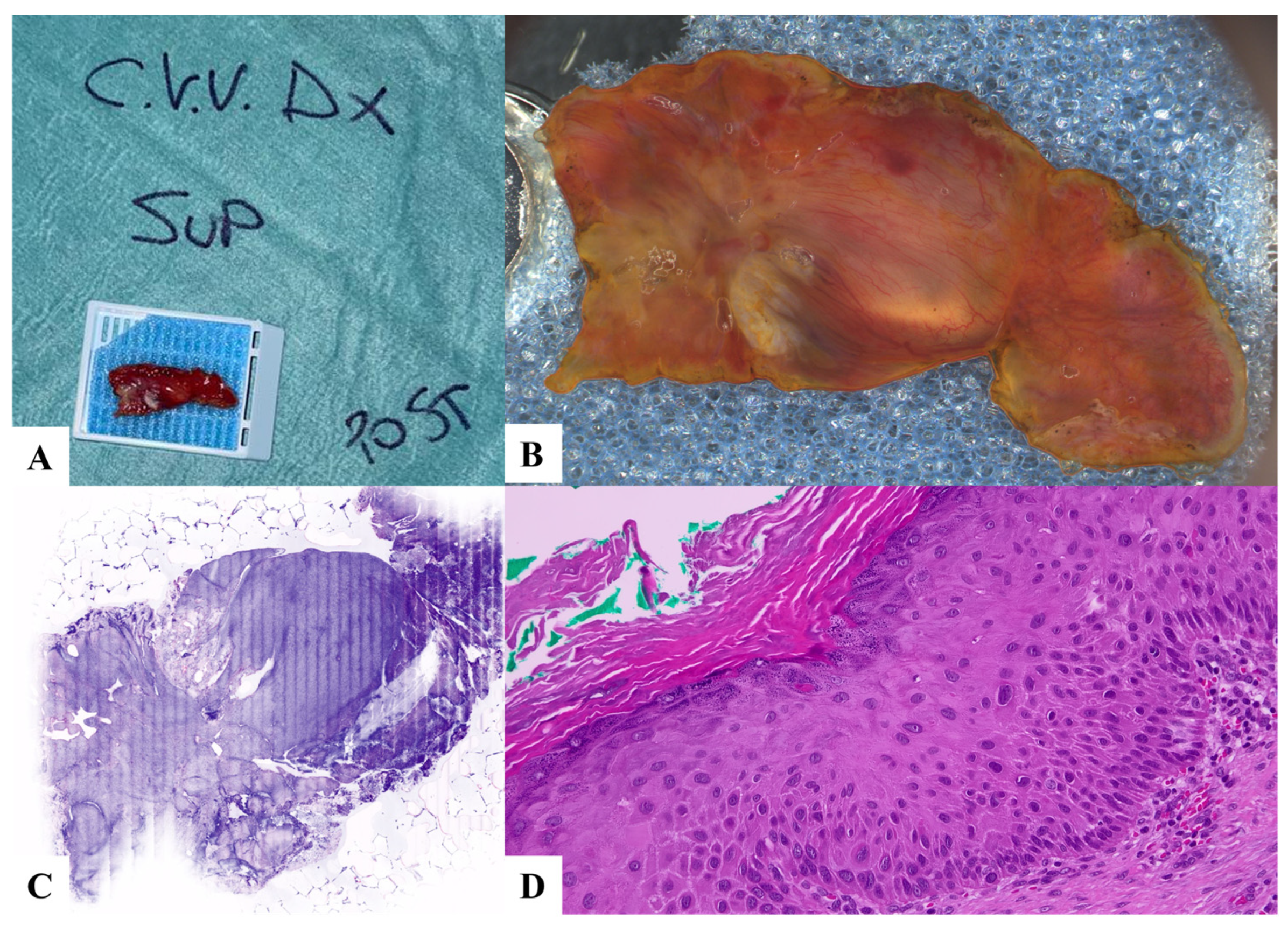 Jpm 13 01252 g002 Jpm 13 01252 g002