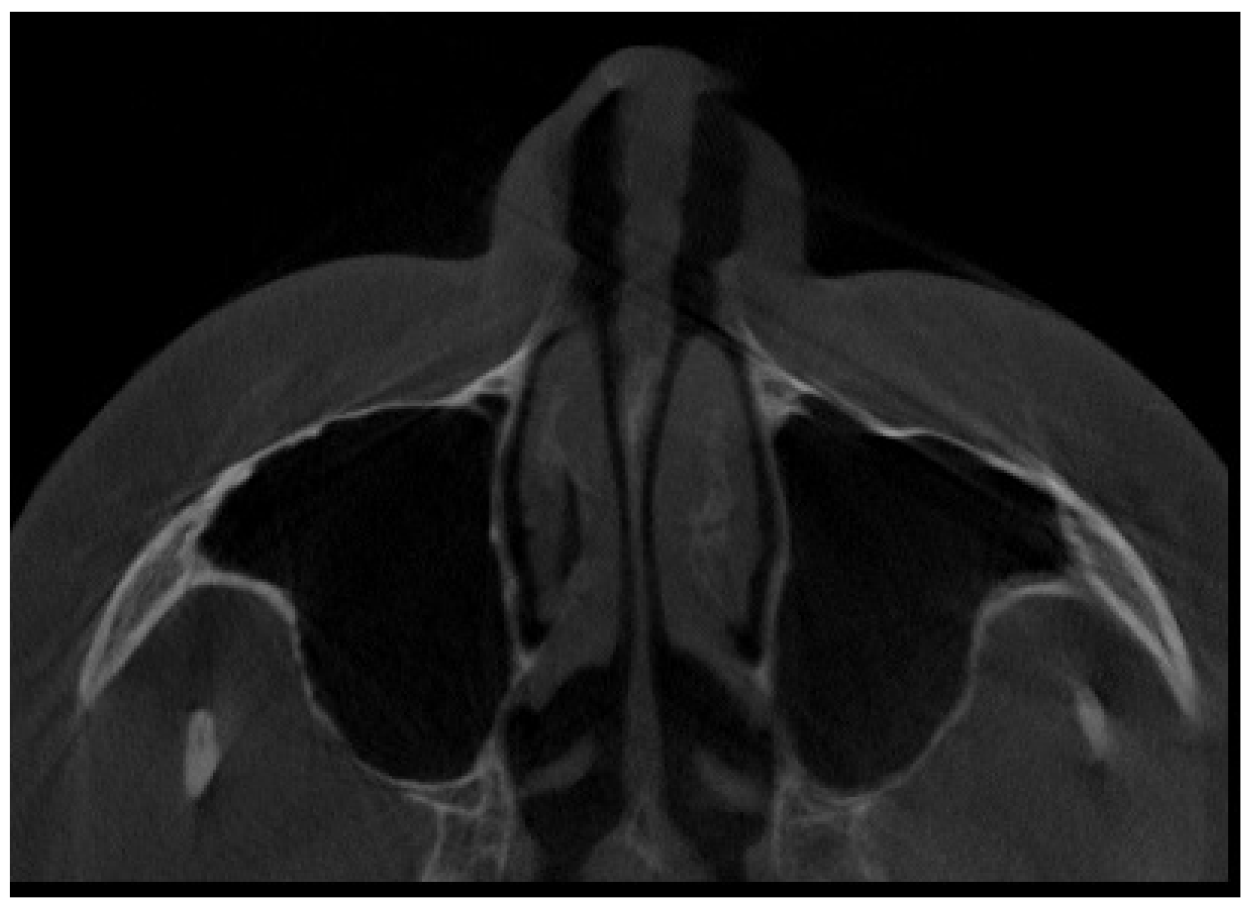 Jpm 13 01258 g001 Jpm 13 01258 g001