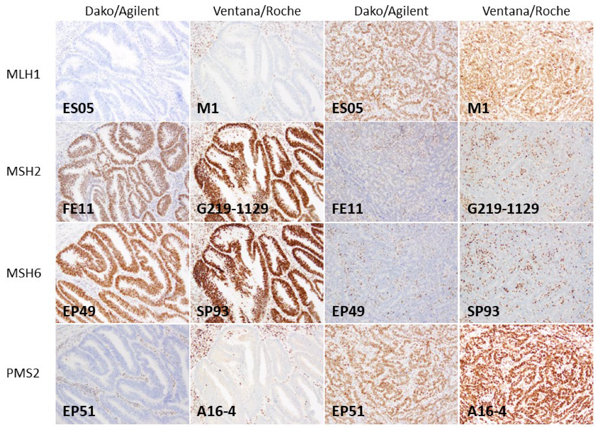 Jpm 13 01260 g001 Jpm 13 01260 g001
