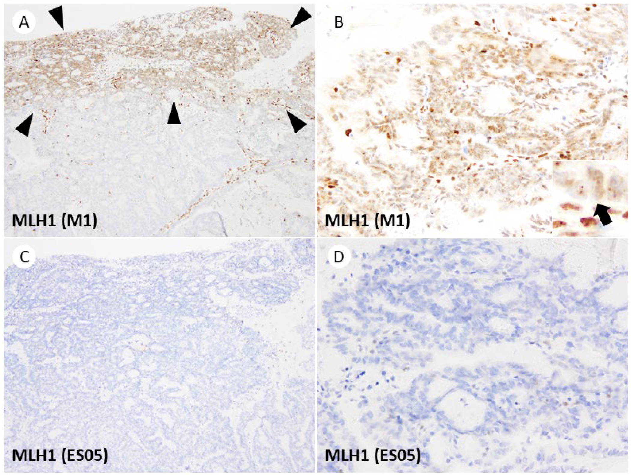 Jpm 13 01260 g003 Jpm 13 01260 g003
