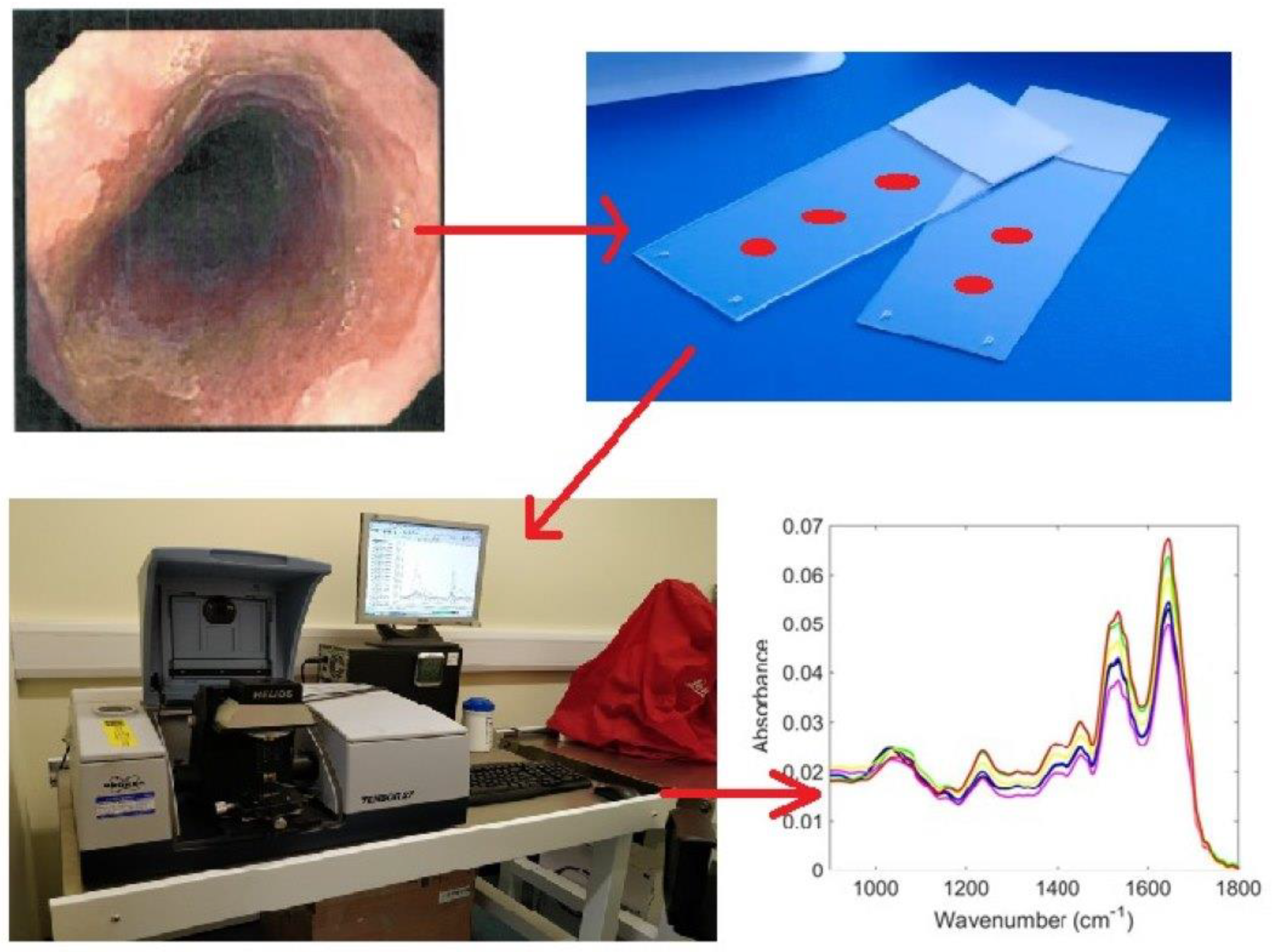 Jpm 13 01277 g001 Jpm 13 01277 g001