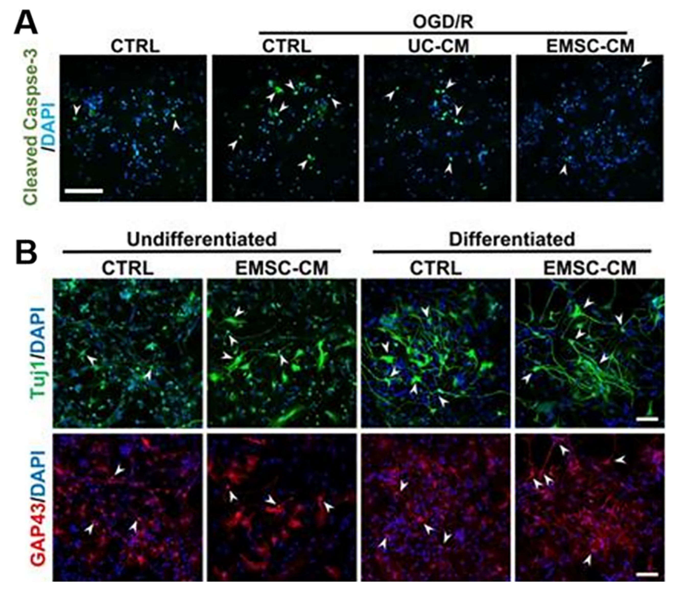 Jpm 13 01281 g003 Jpm 13 01281 g003