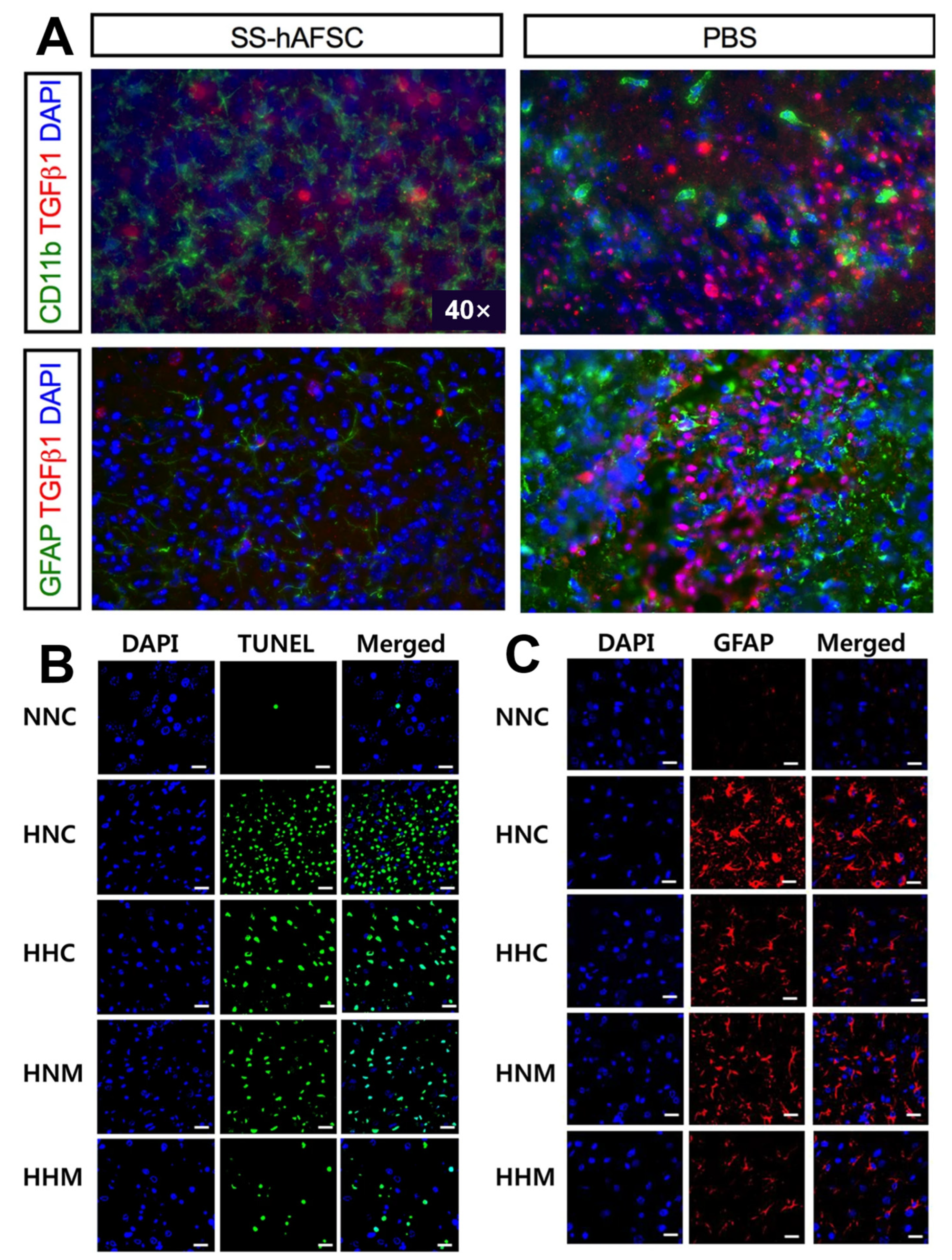 Jpm 13 01281 g005 Jpm 13 01281 g005