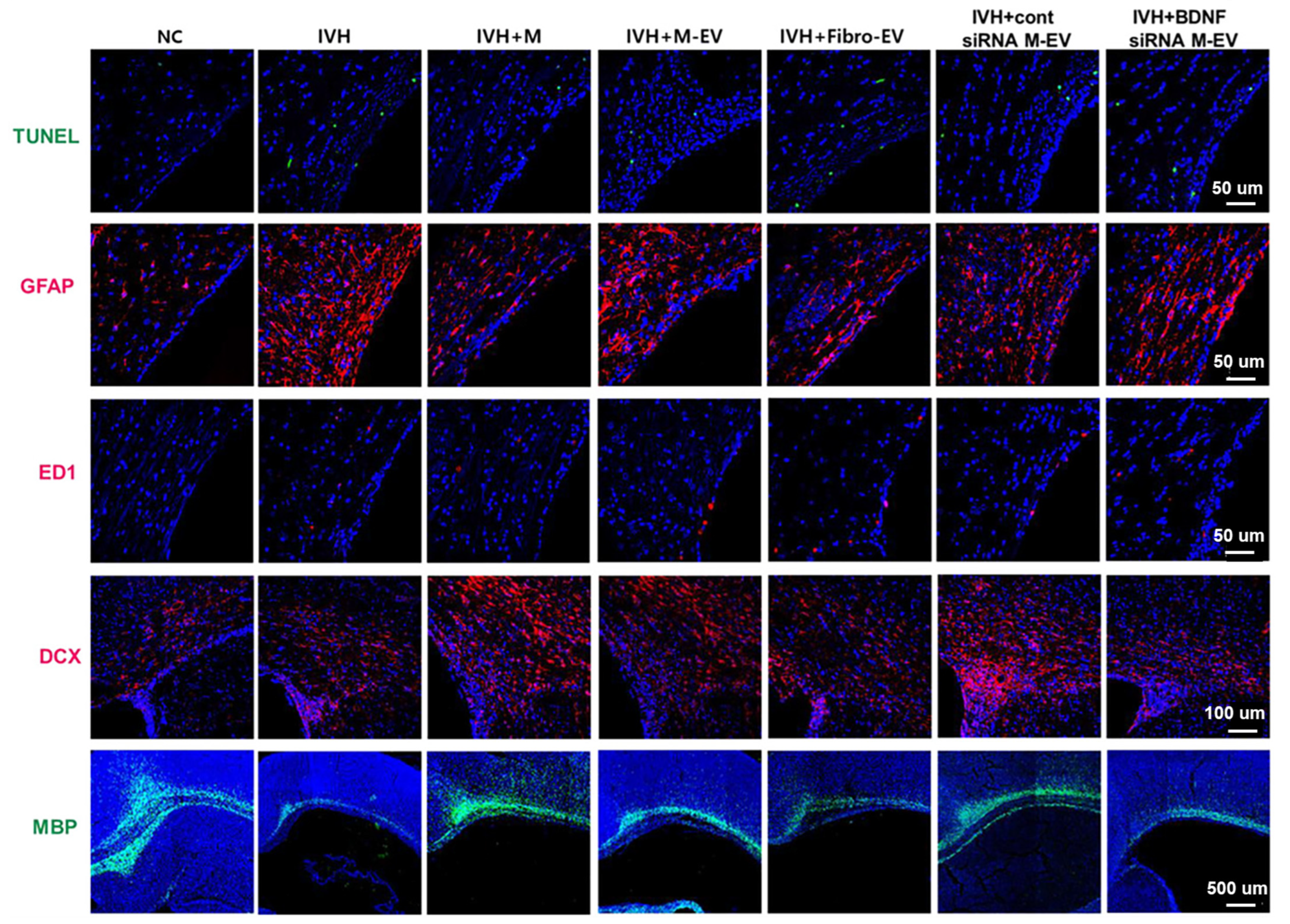 Jpm 13 01281 g007 Jpm 13 01281 g007
