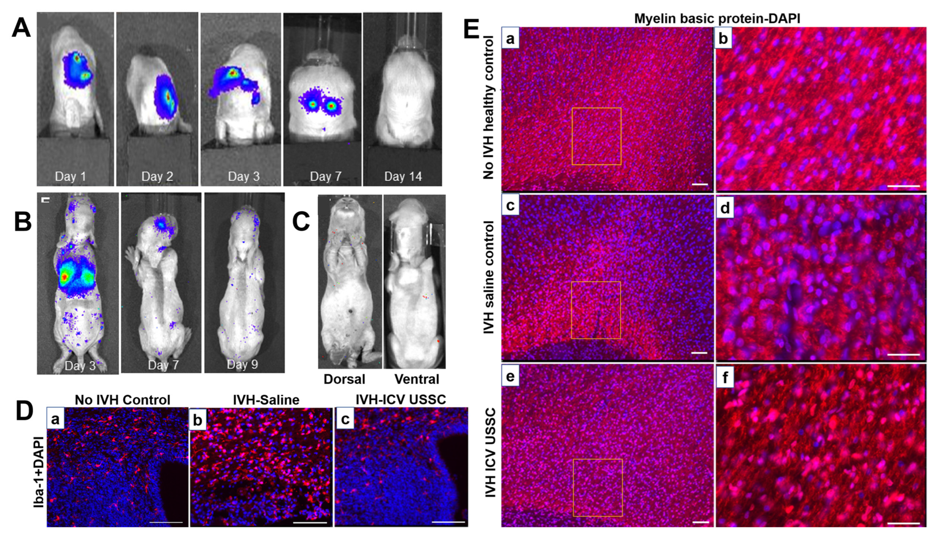Jpm 13 01281 g008 Jpm 13 01281 g008
