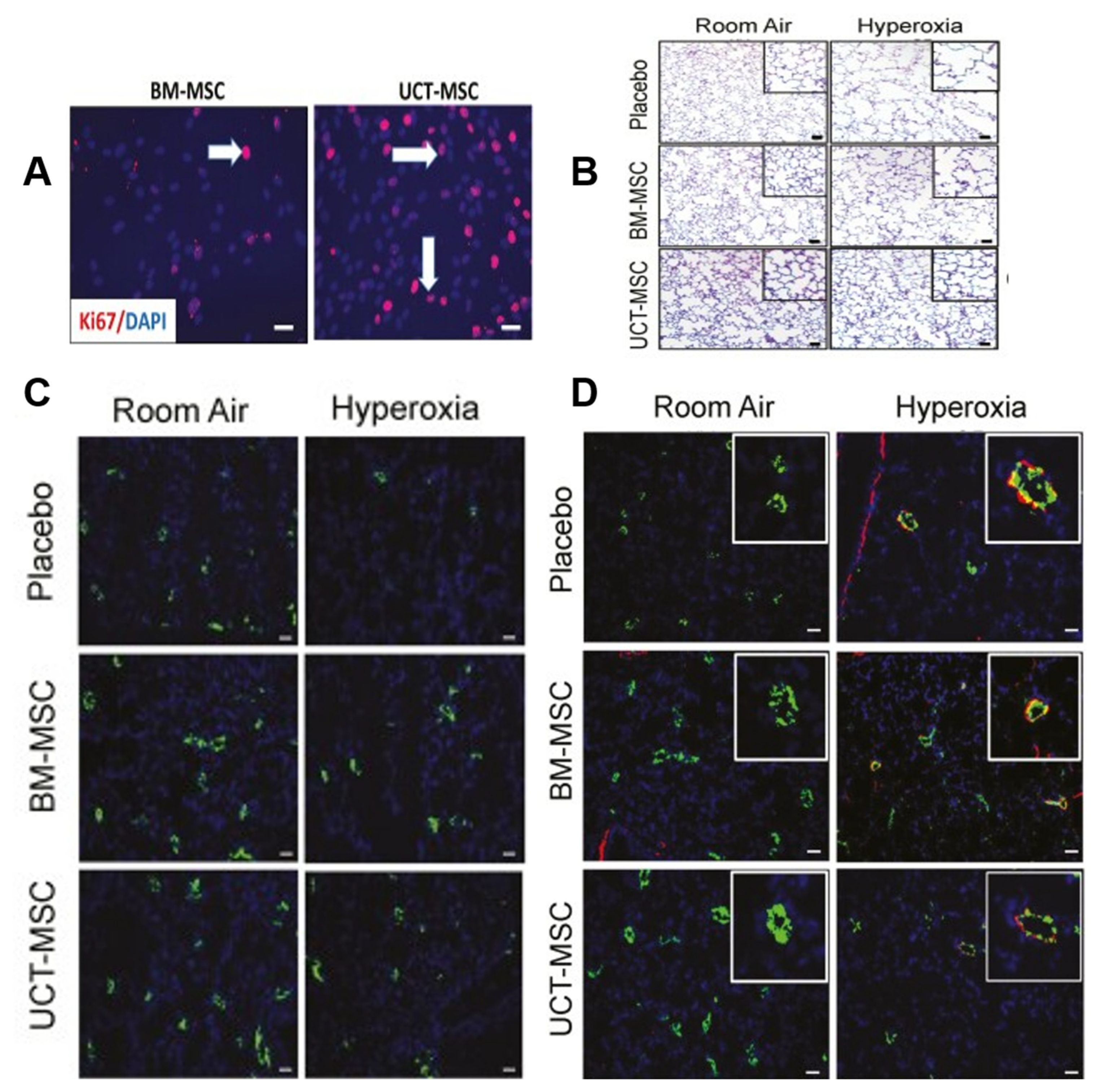 Jpm 13 01281 g009 Jpm 13 01281 g009