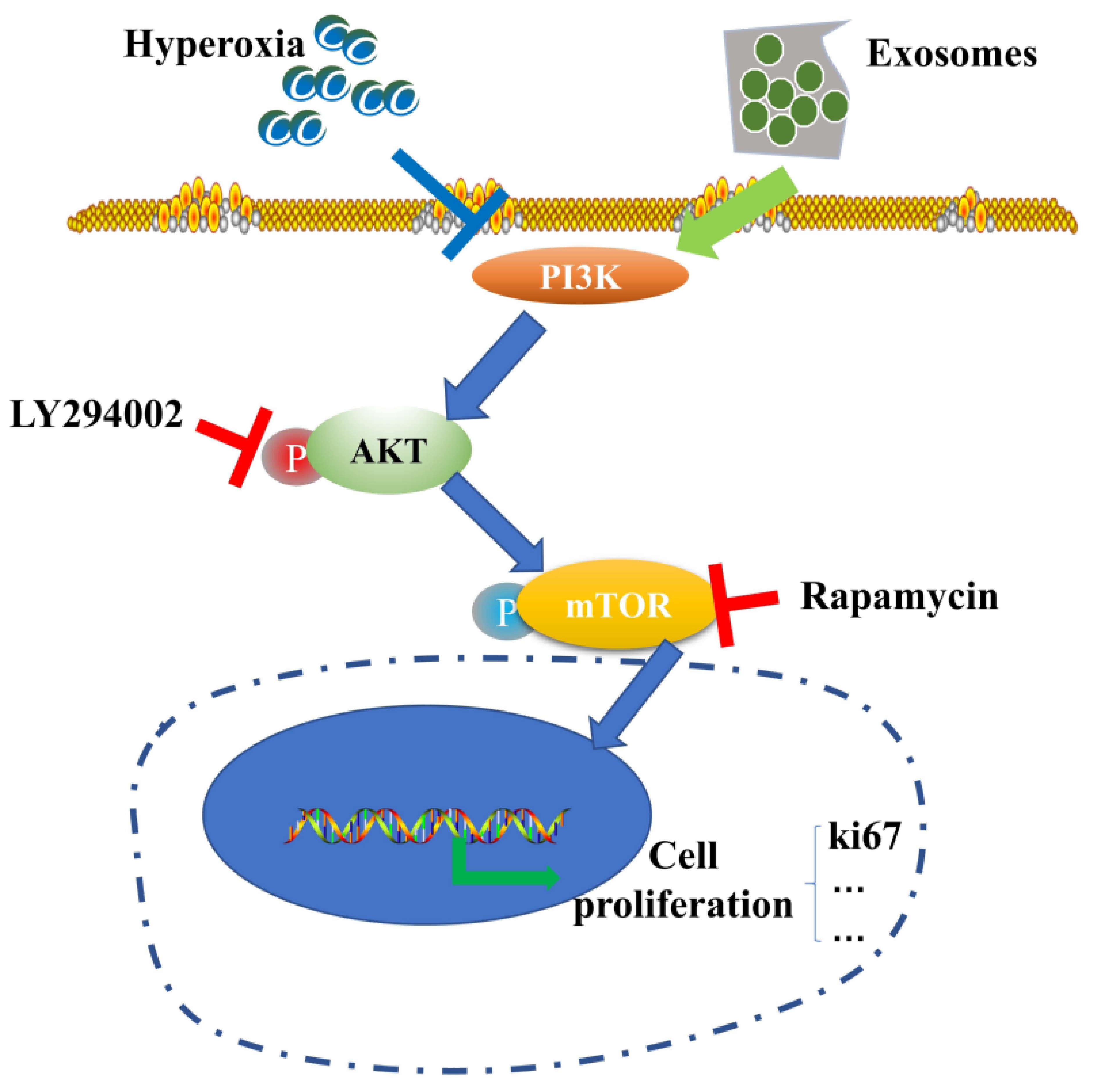 Jpm 13 01281 g010 Jpm 13 01281 g010