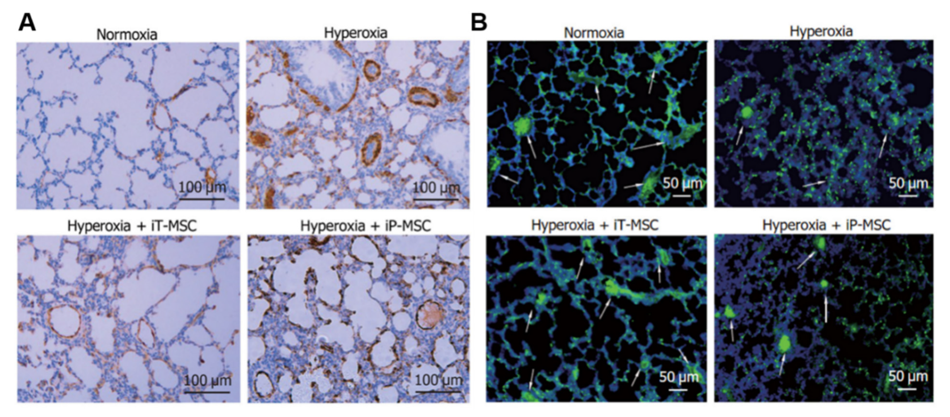 Jpm 13 01281 g011 Jpm 13 01281 g011